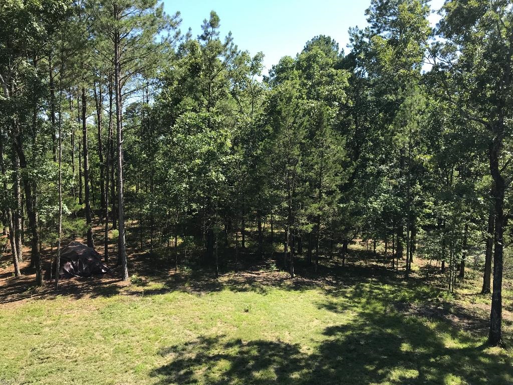 160  Slytown  Amity, AR