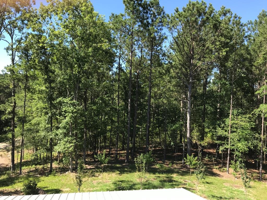 160  Slytown  Amity, AR