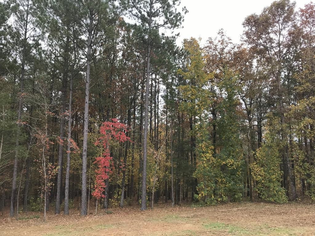 160  Slytown  Amity, AR