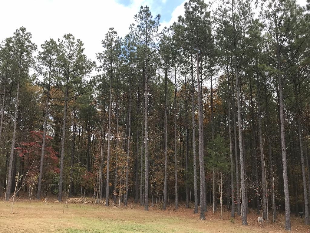 160  Slytown  Amity, AR