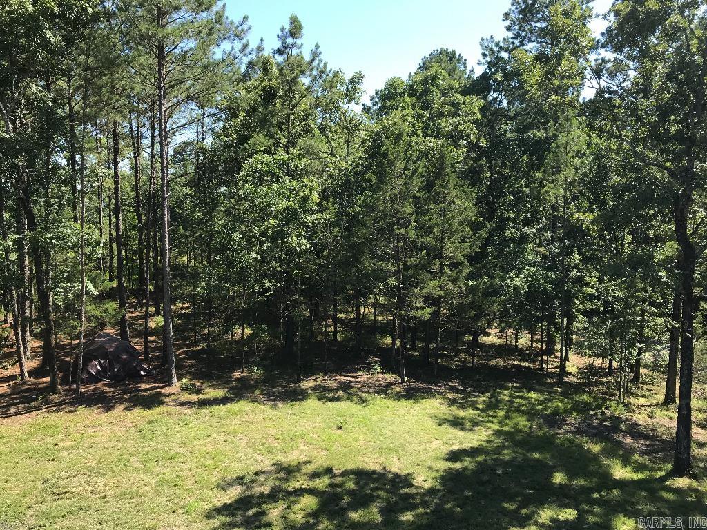 160 Slytown  Amity, AR