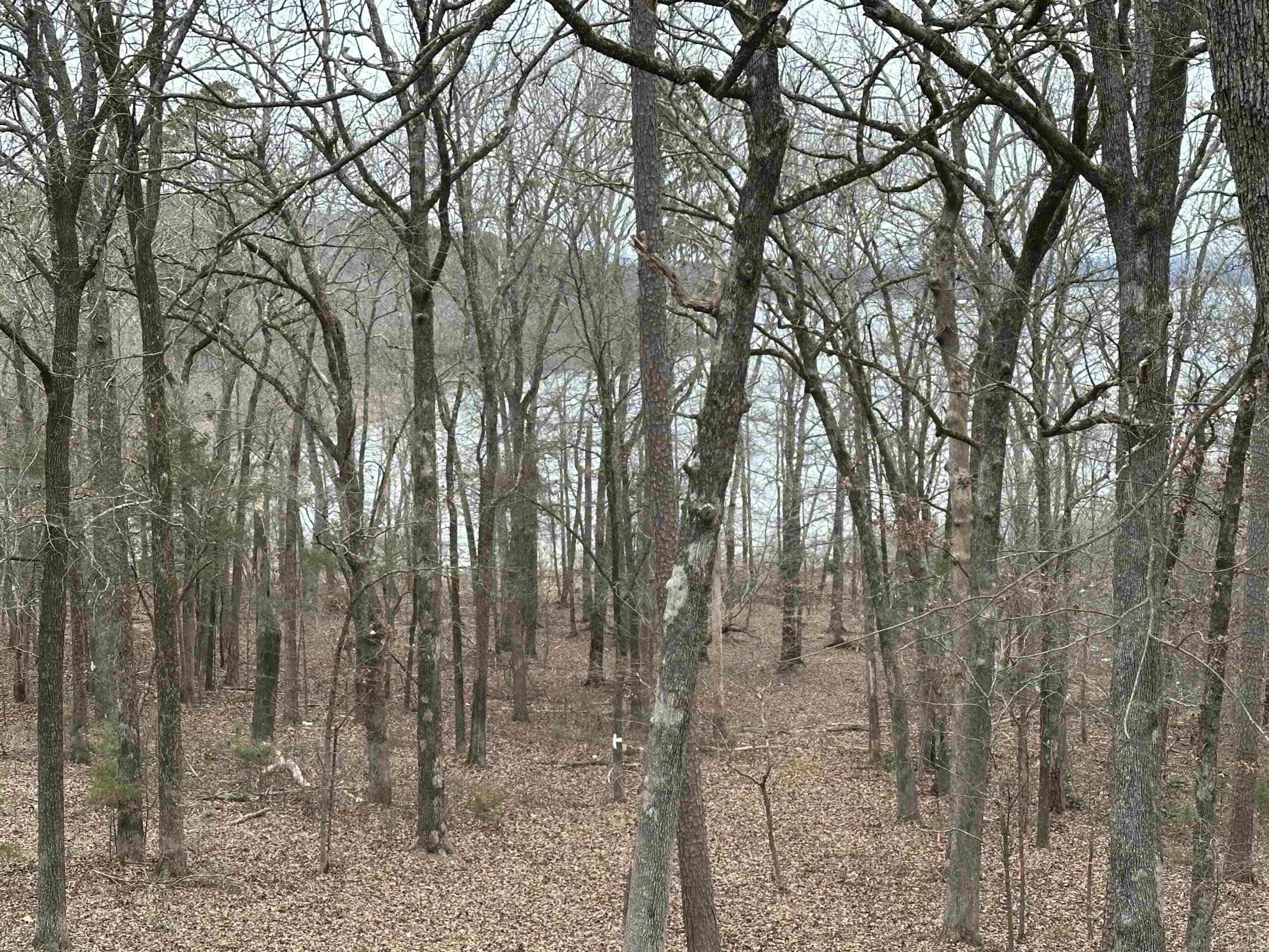 0  Baywood  Heber Springs, AR