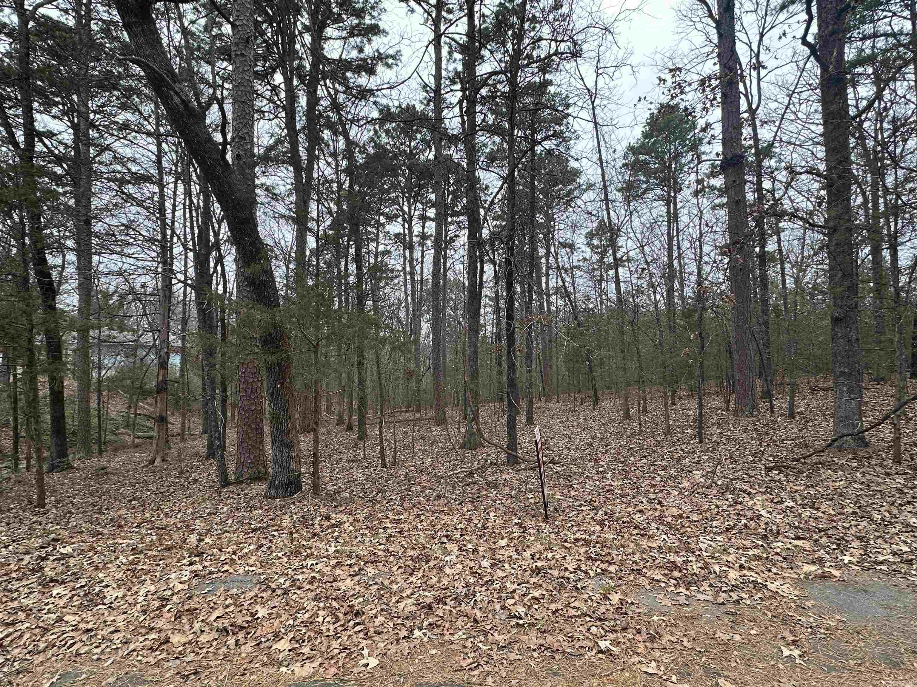 0  Baywood  Heber Springs, AR