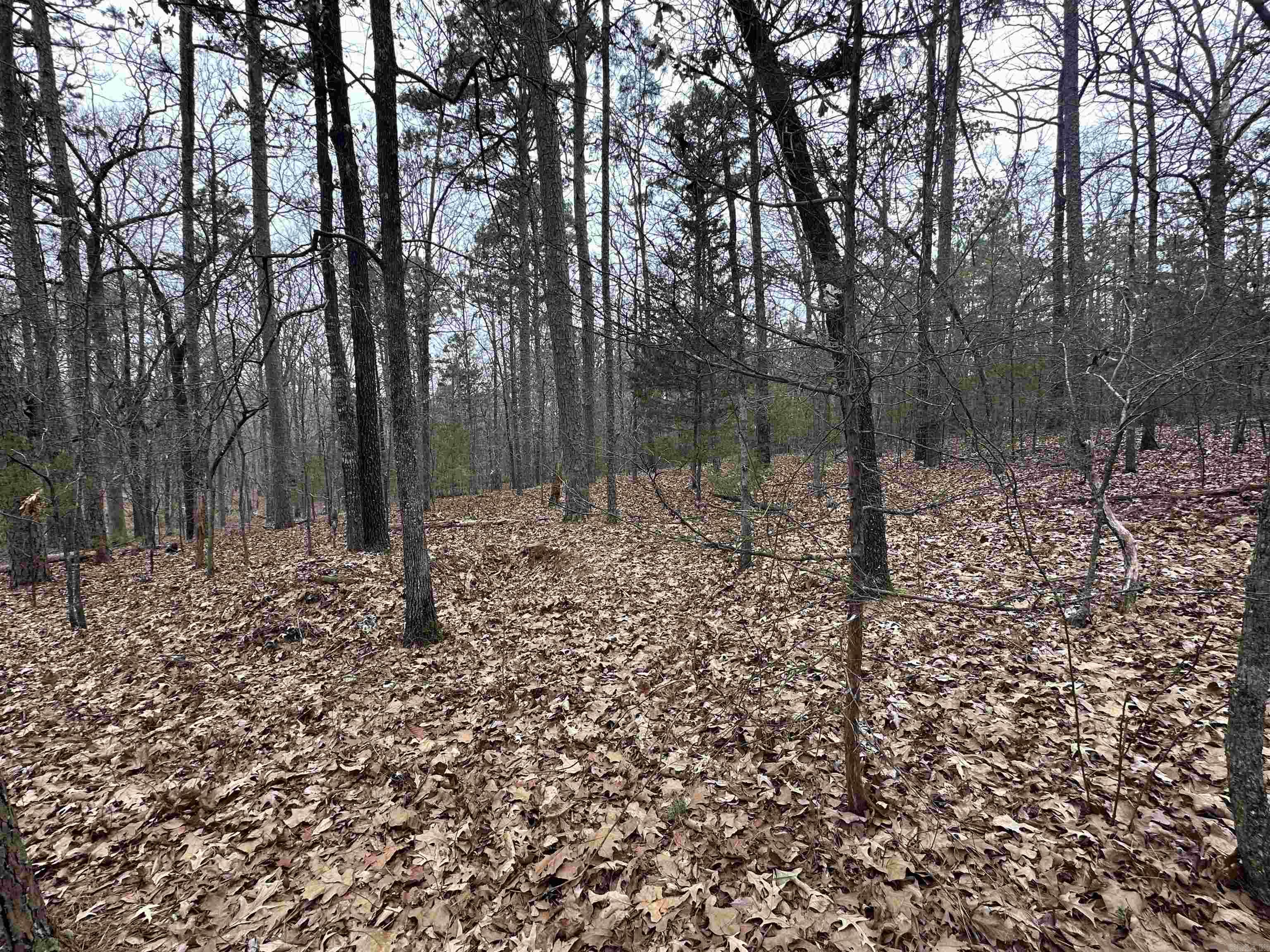 0  Baywood  Heber Springs, AR