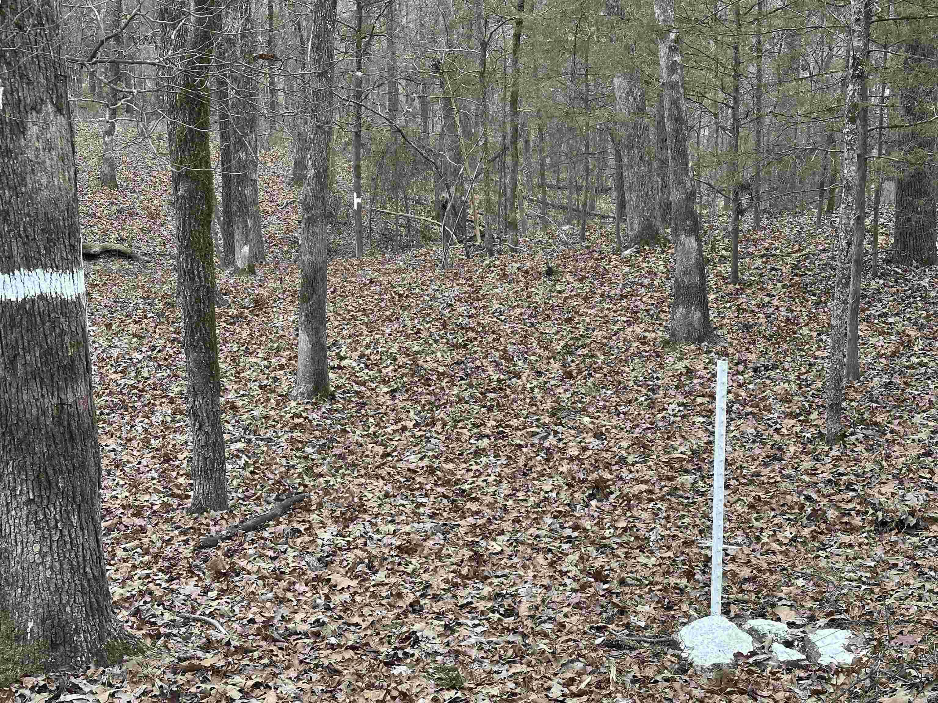 0  Baywood  Heber Springs, AR
