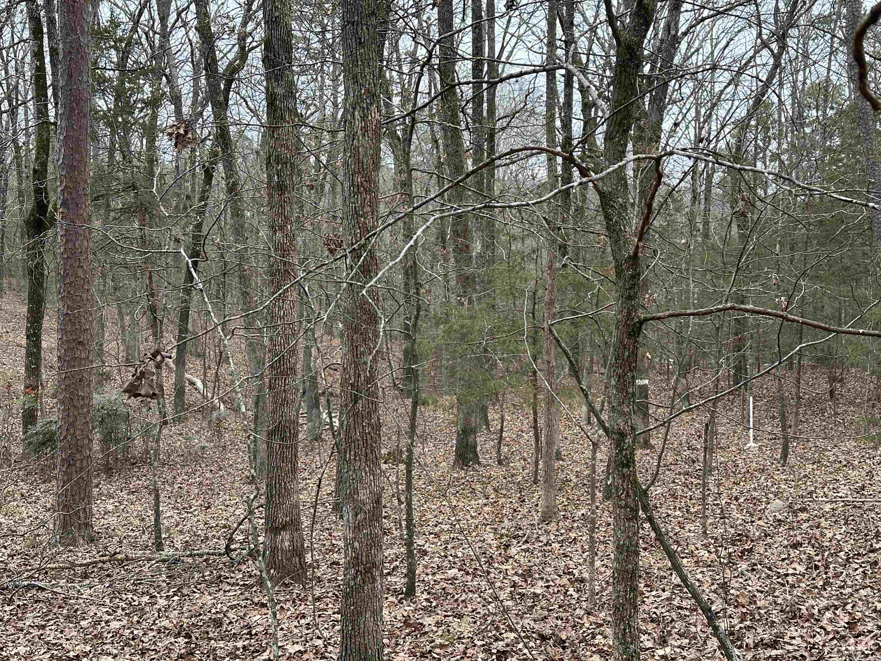 0  Baywood  Heber Springs, AR