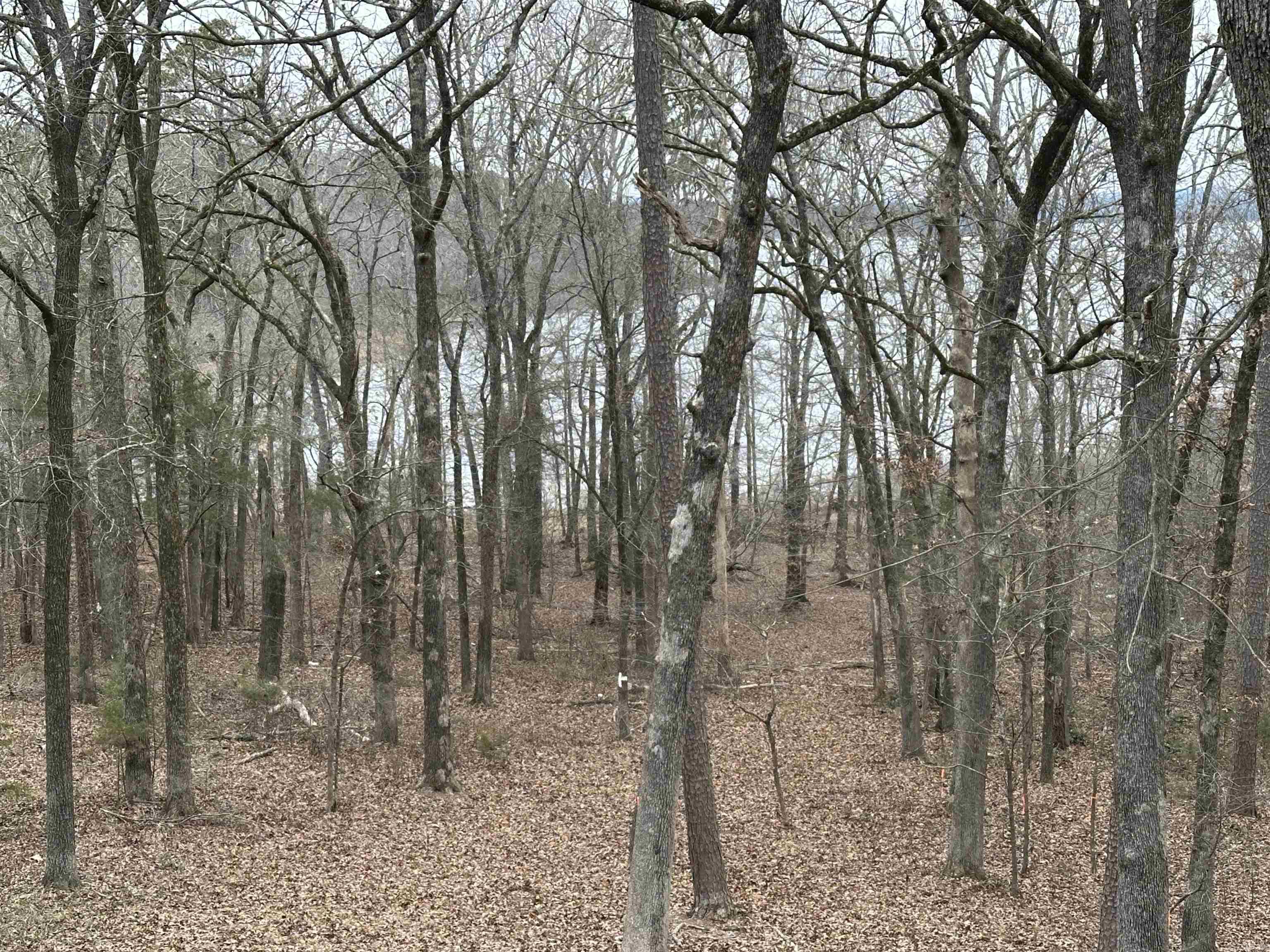 0  Baywood  Heber Springs, AR