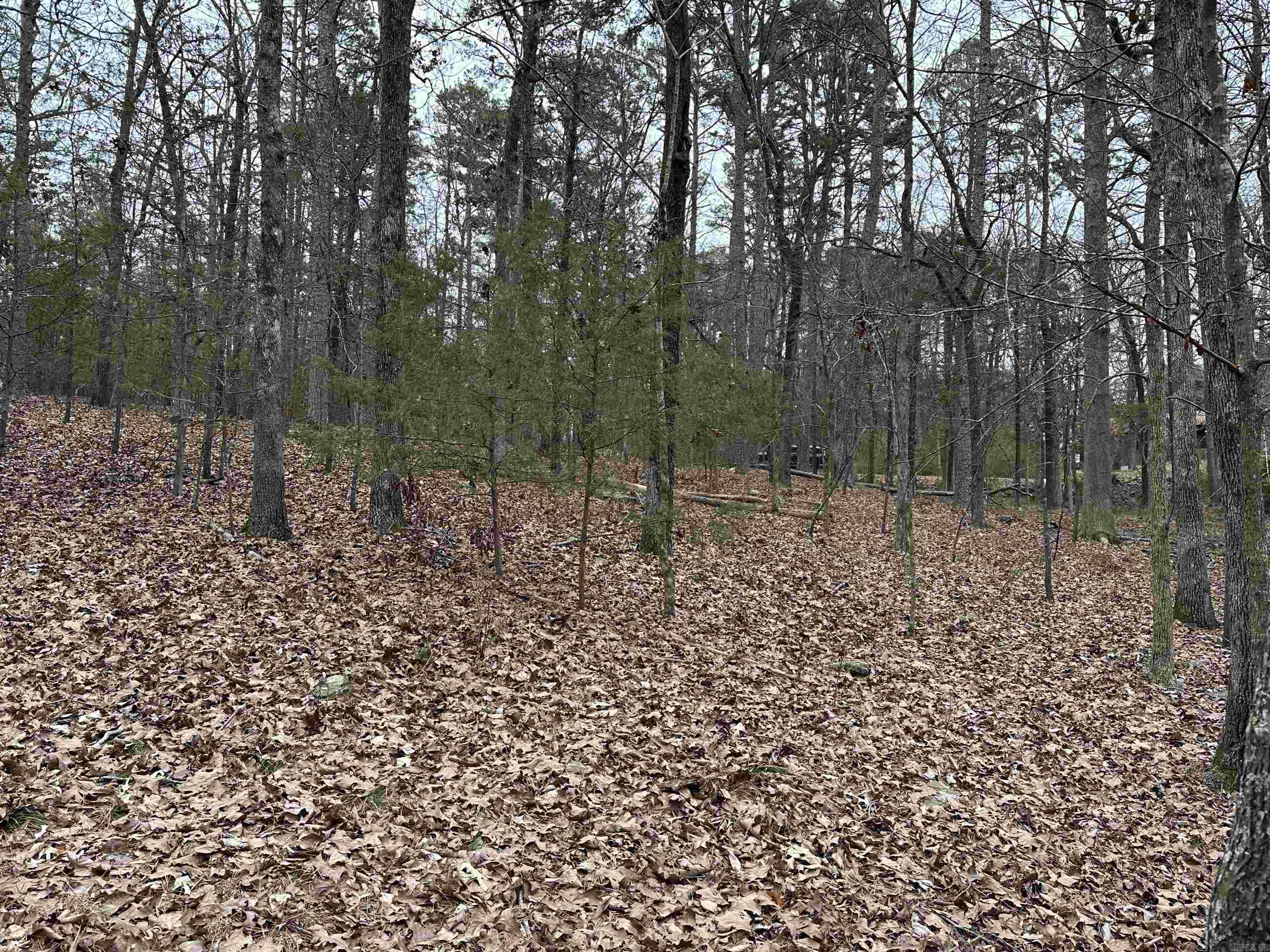 0  Baywood  Heber Springs, AR