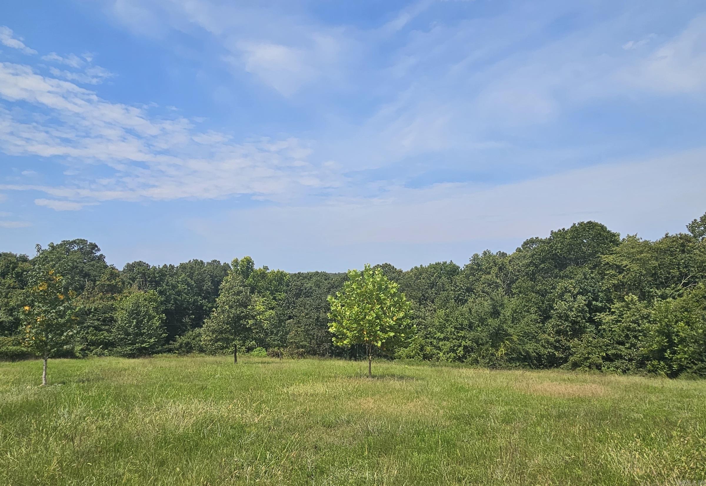4  Country Charm  Mountain View, AR