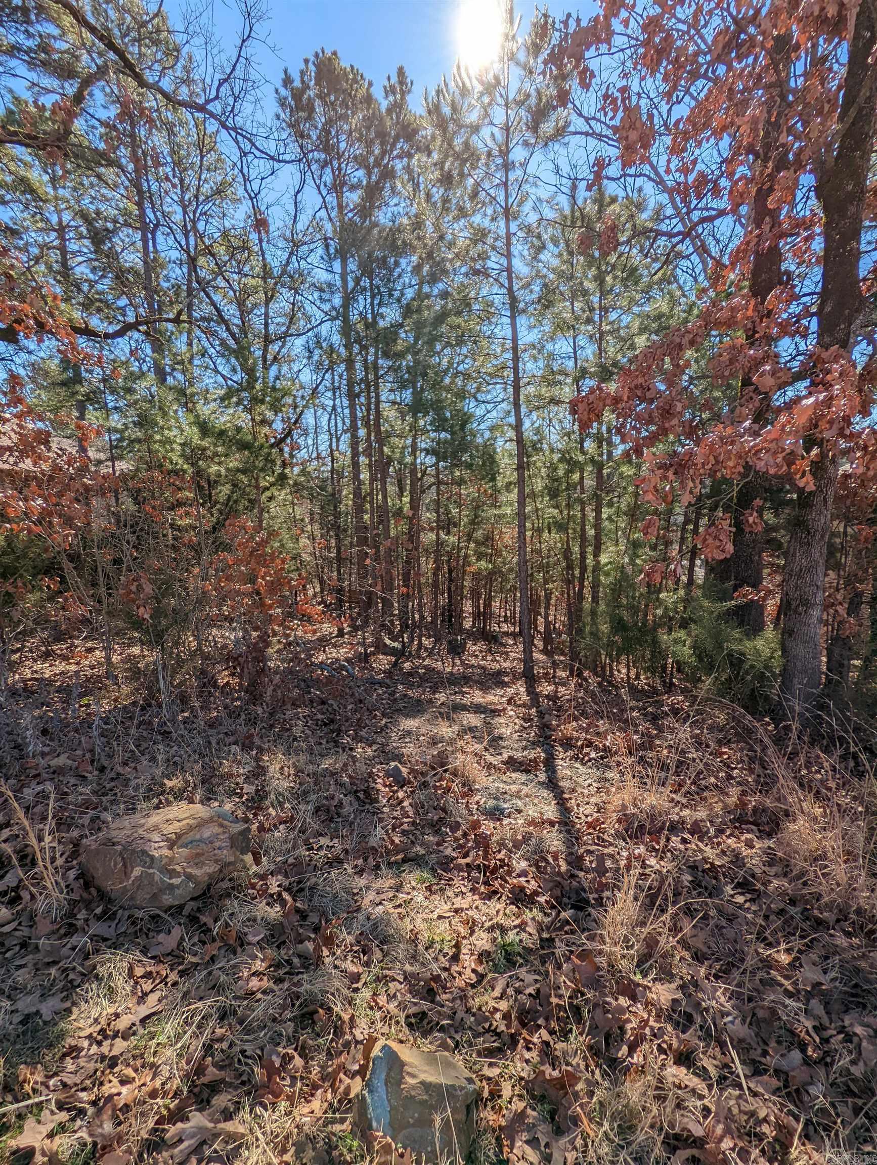240  Summit Valley Circle  Maumelle, AR