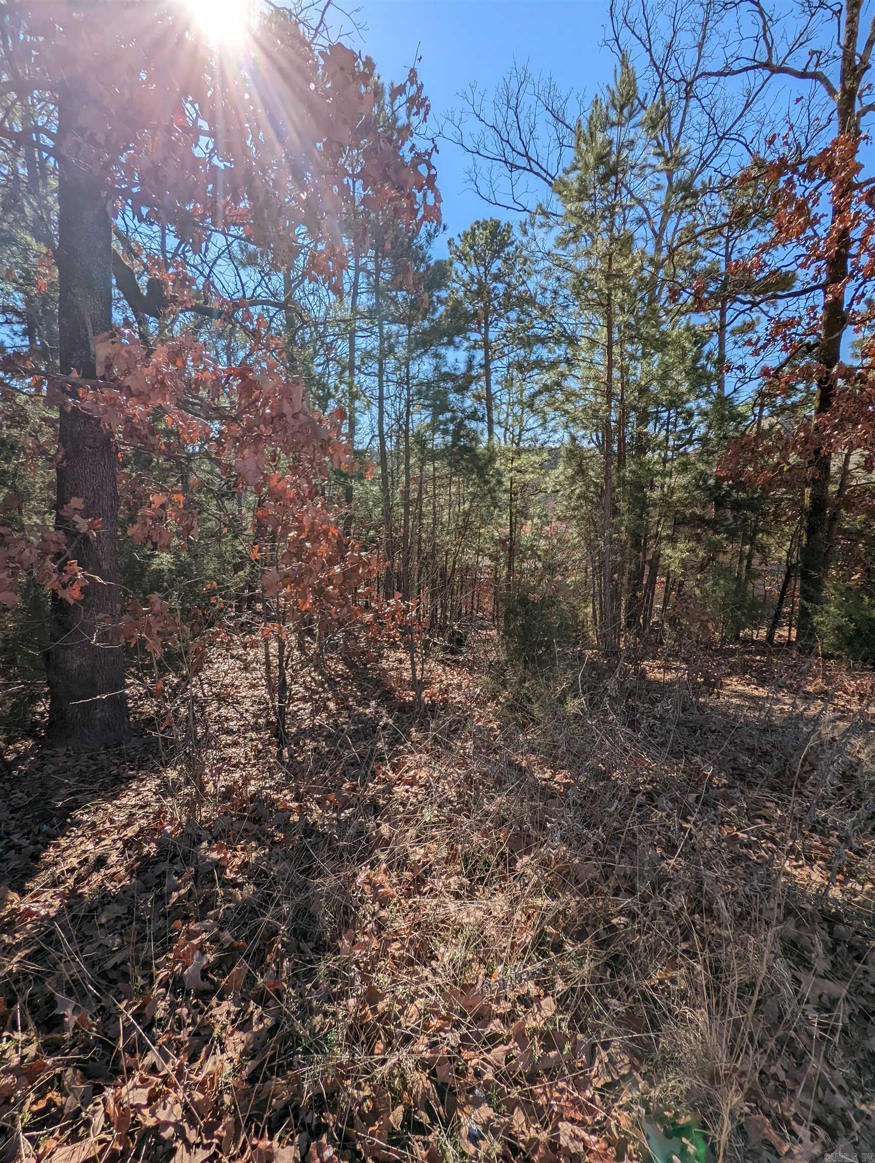 240  Summit Valley Circle  Maumelle, AR