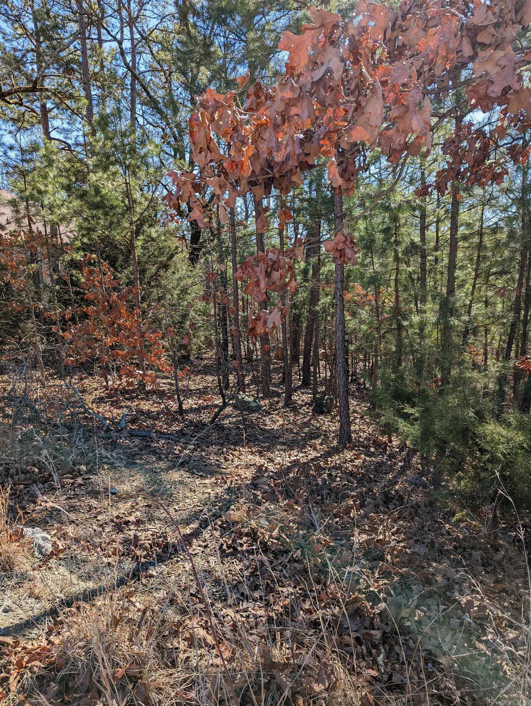 240  Summit Valley Circle  Maumelle, AR