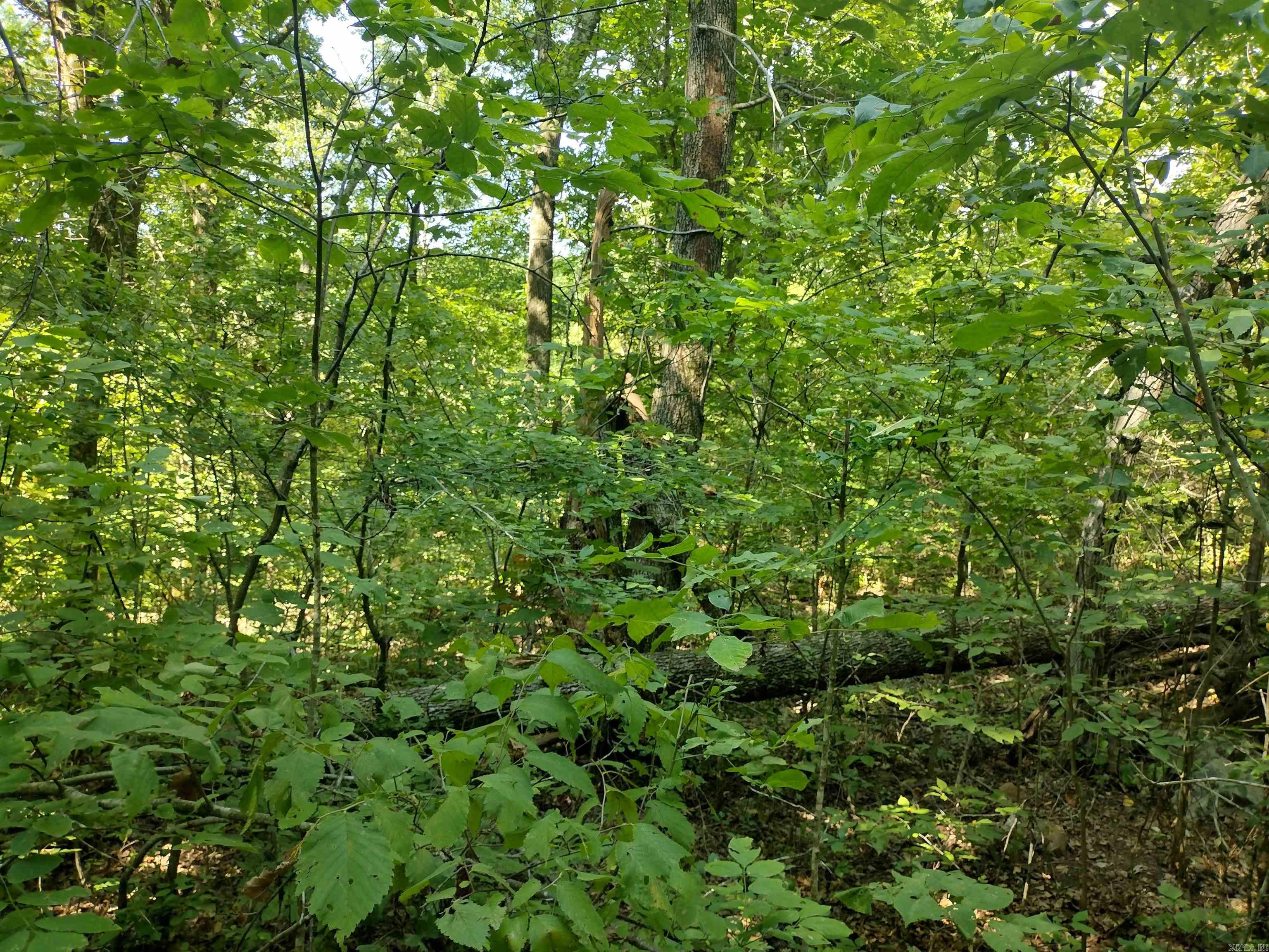 0  Liberty RD  Leslie, AR