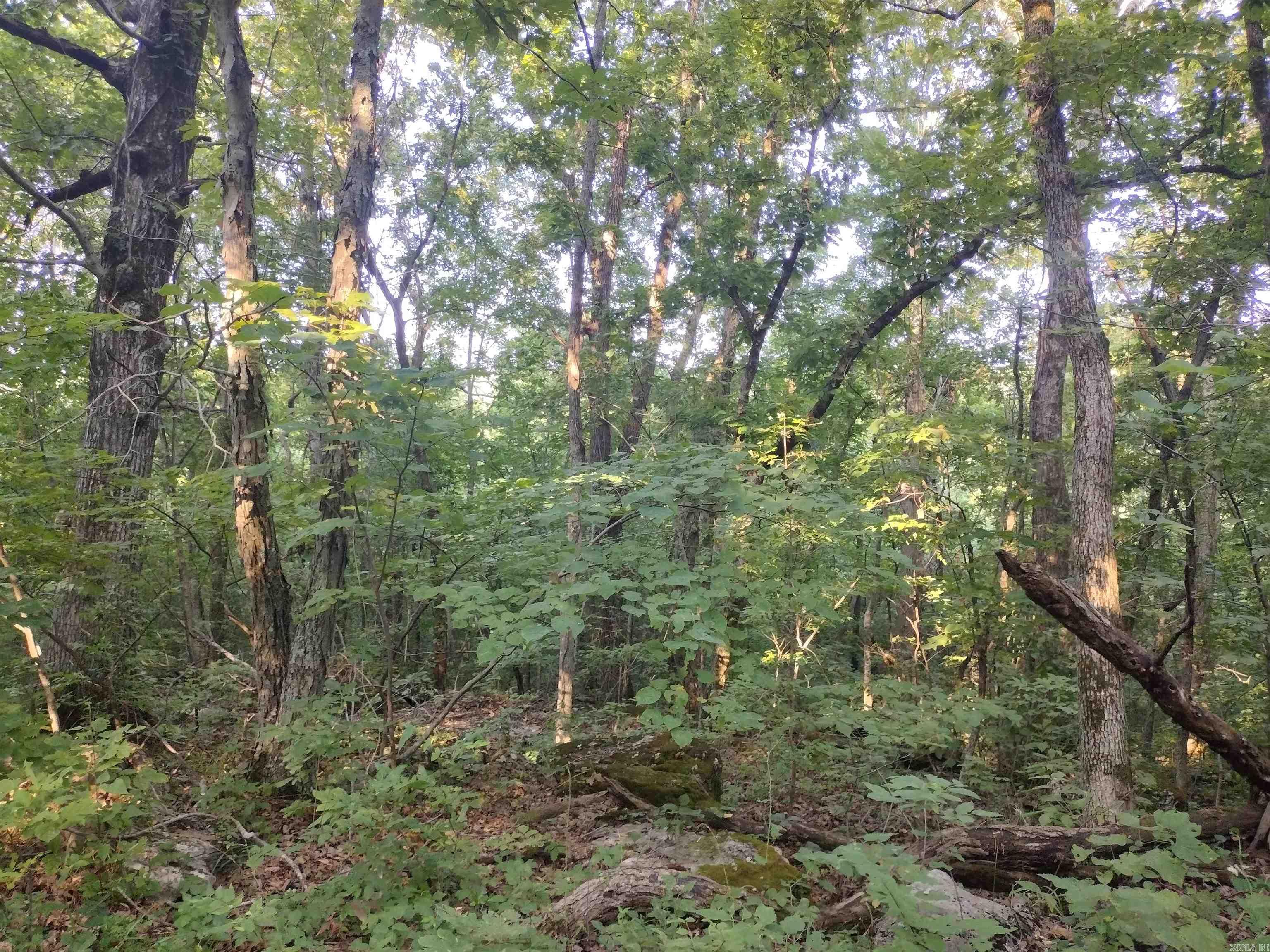 0  Liberty RD  Leslie, AR