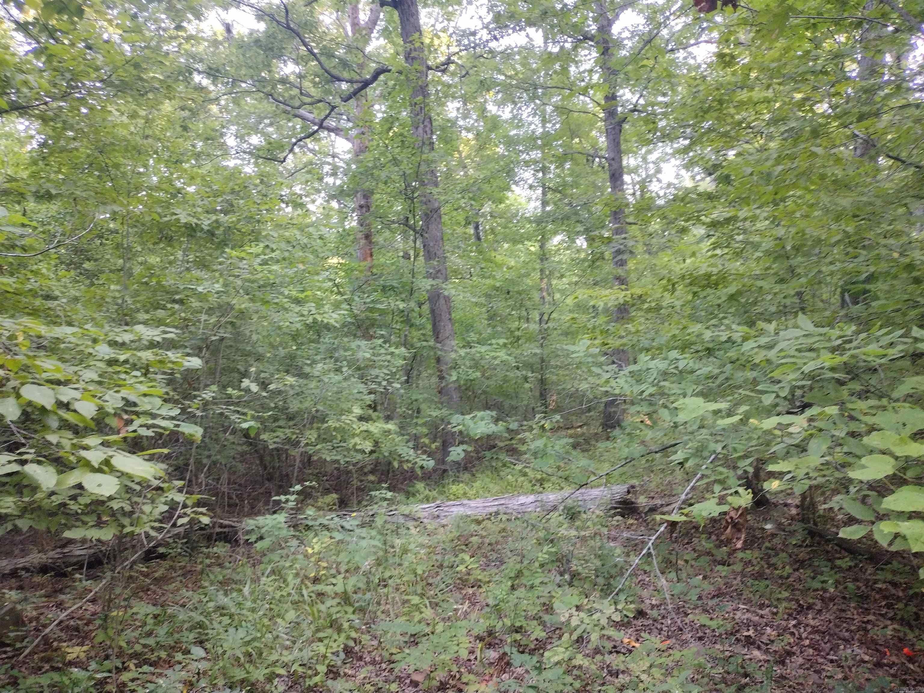 0  Liberty RD  Leslie, AR