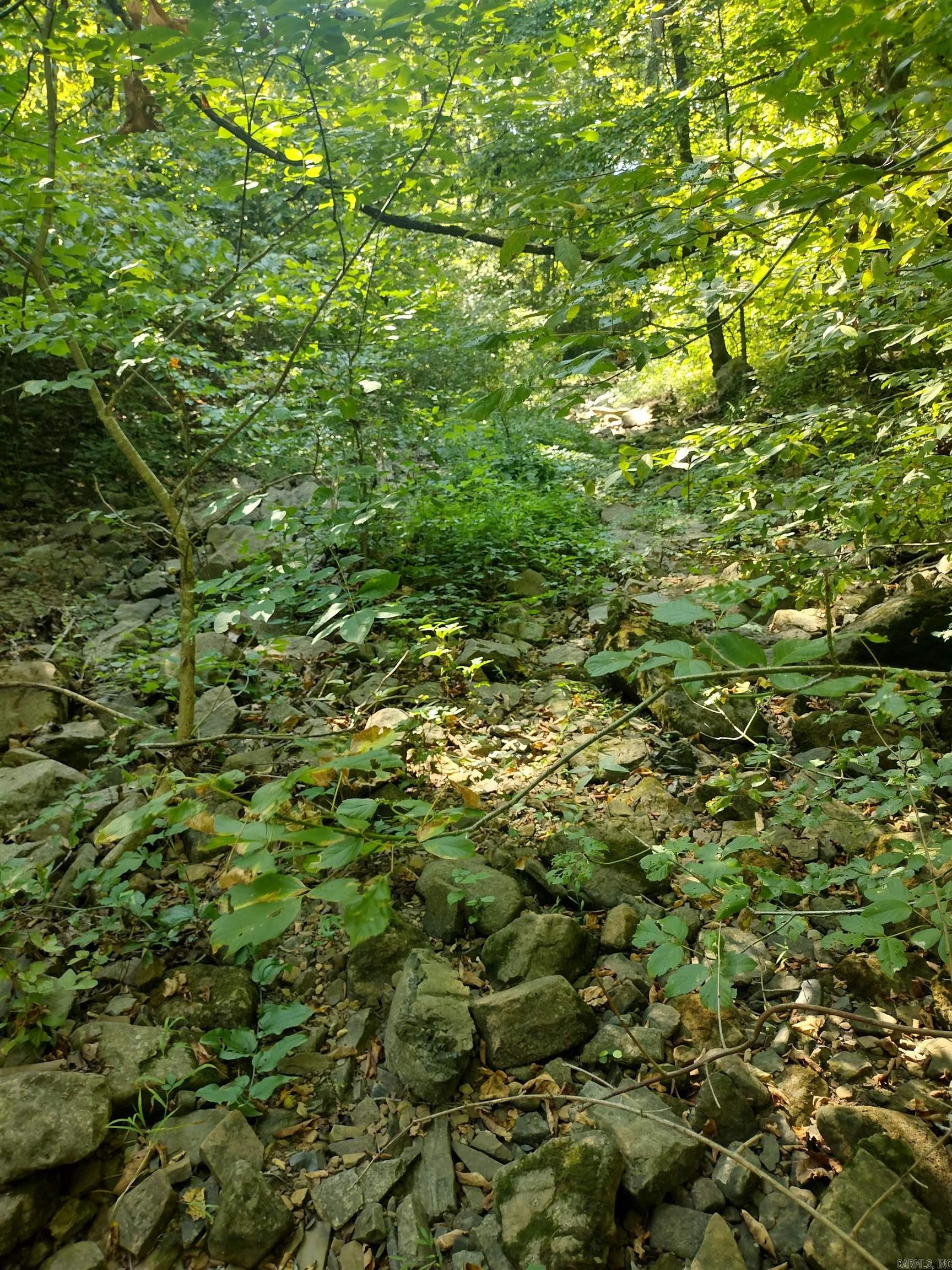 0  Liberty RD  Leslie, AR
