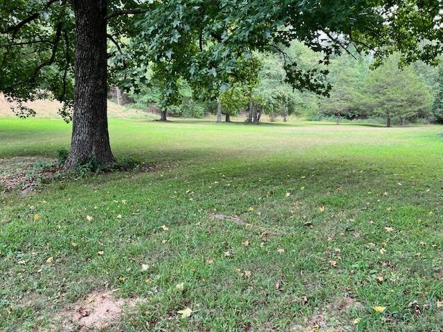 652  Oliver  Mountain View, AR