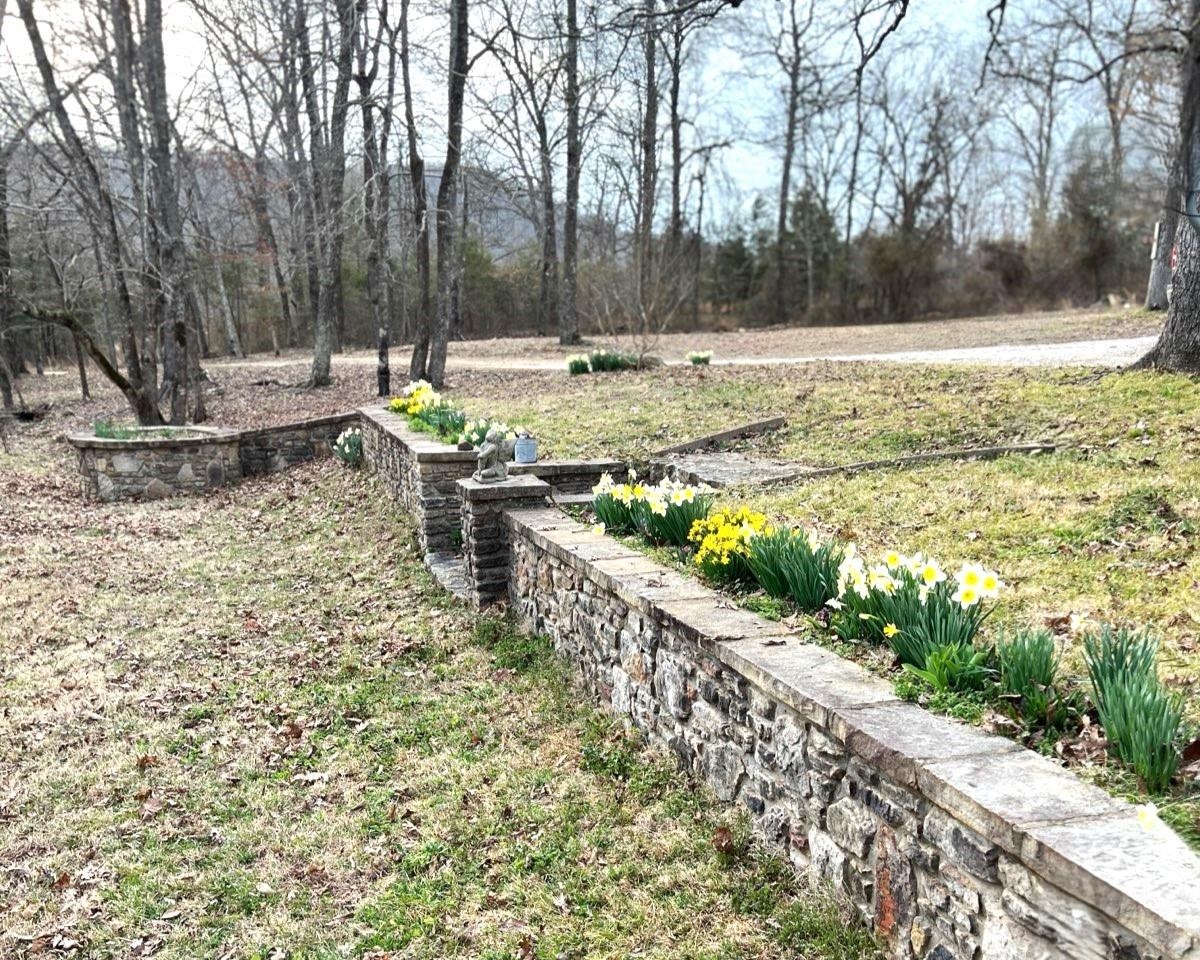 652  Oliver  Mountain View, AR