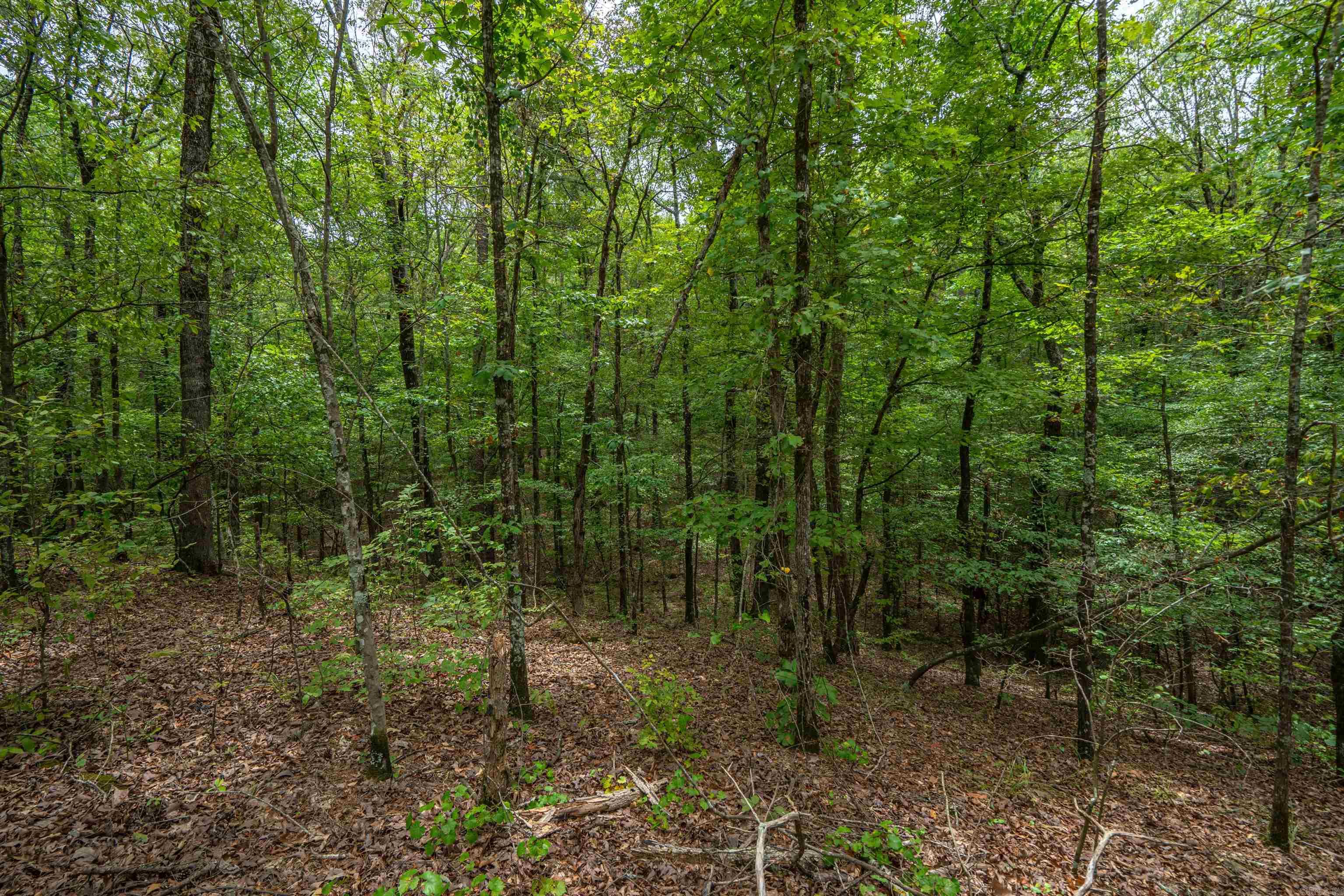 Lot 4  Eagles Nest  Malvern, AR
