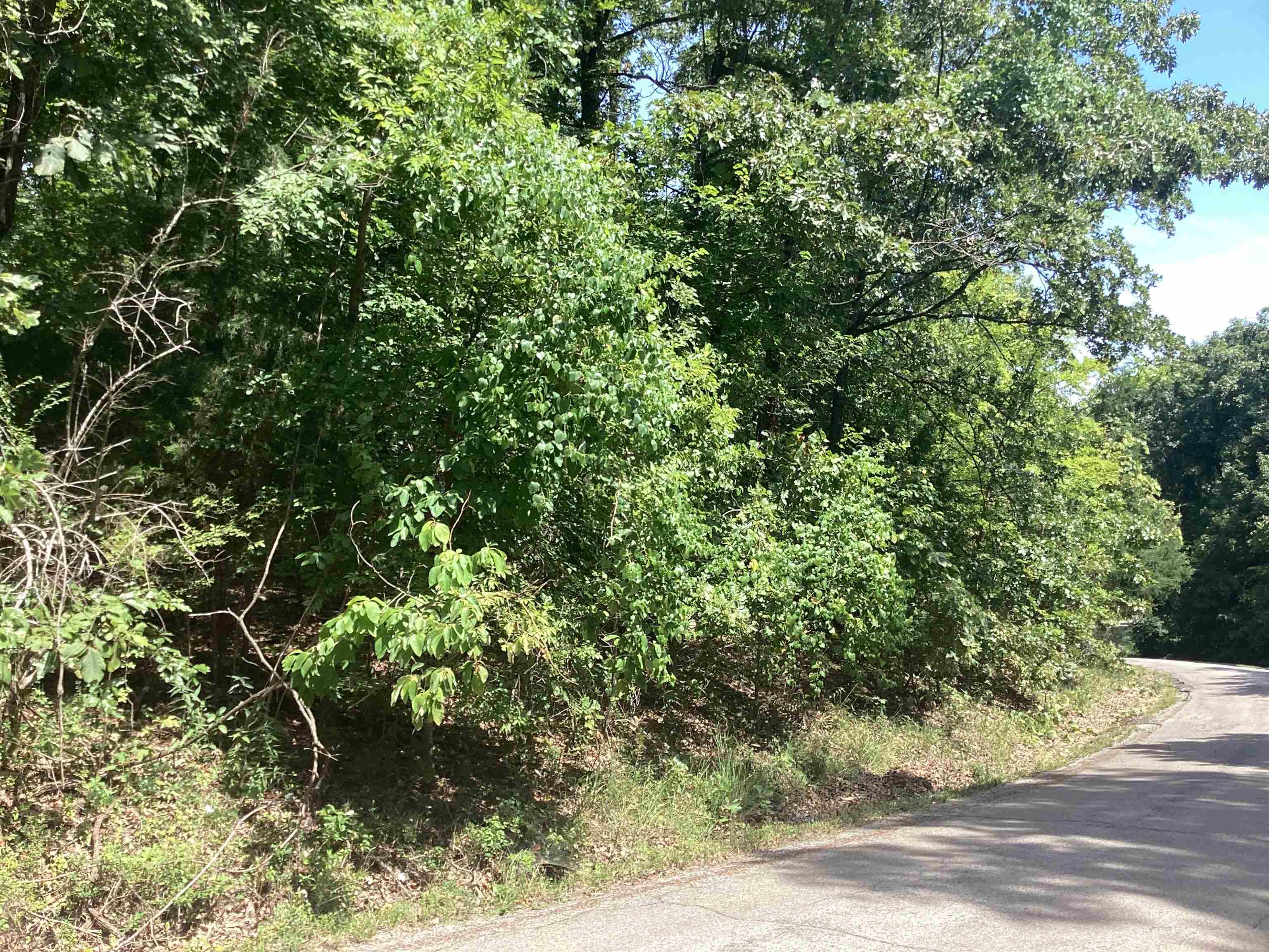  Frontier Dr  Ozark Acres, AR