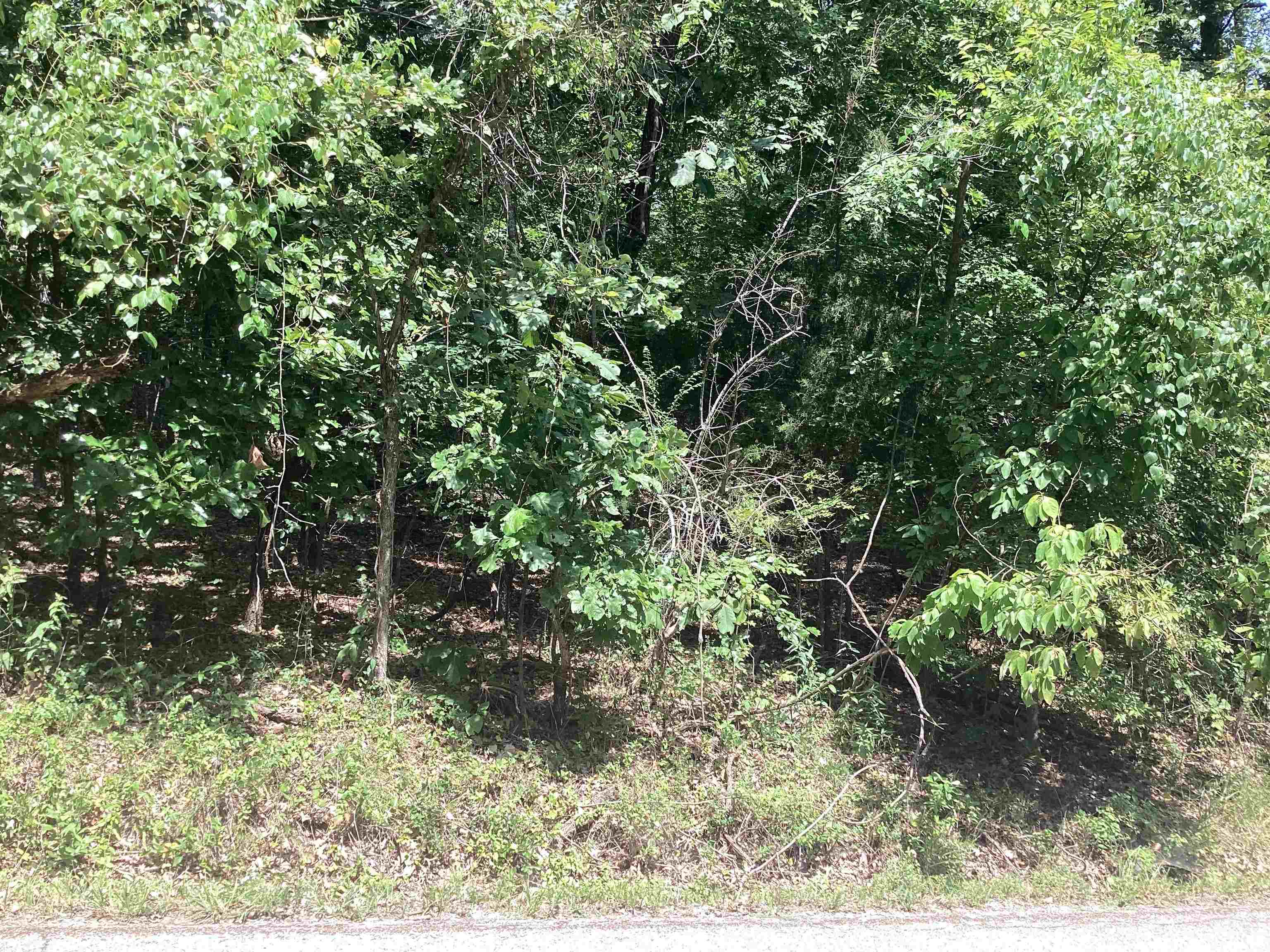   Frontier Dr  Ozark Acres, AR
