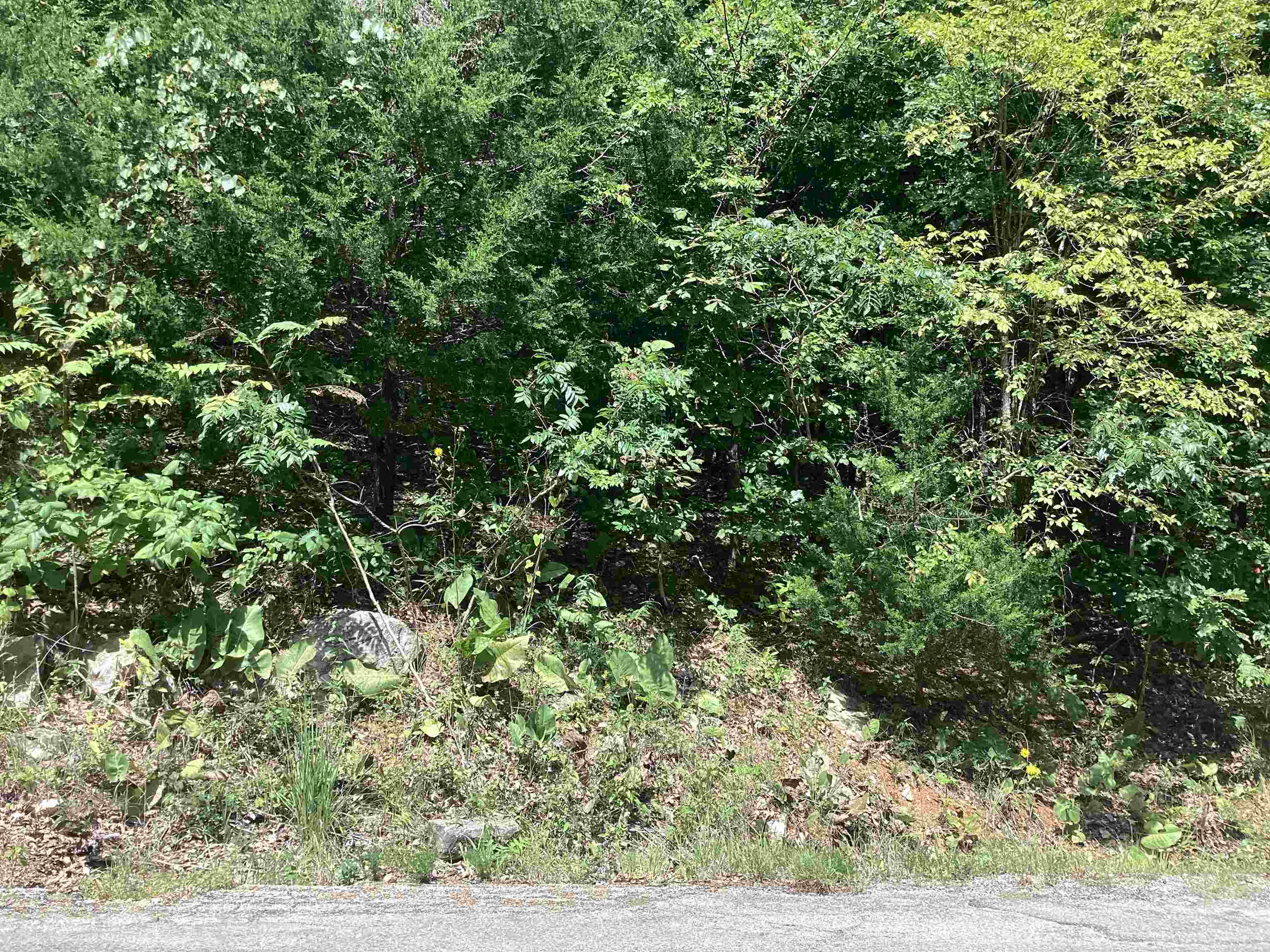   Frontier Dr  Ozark Acres, AR