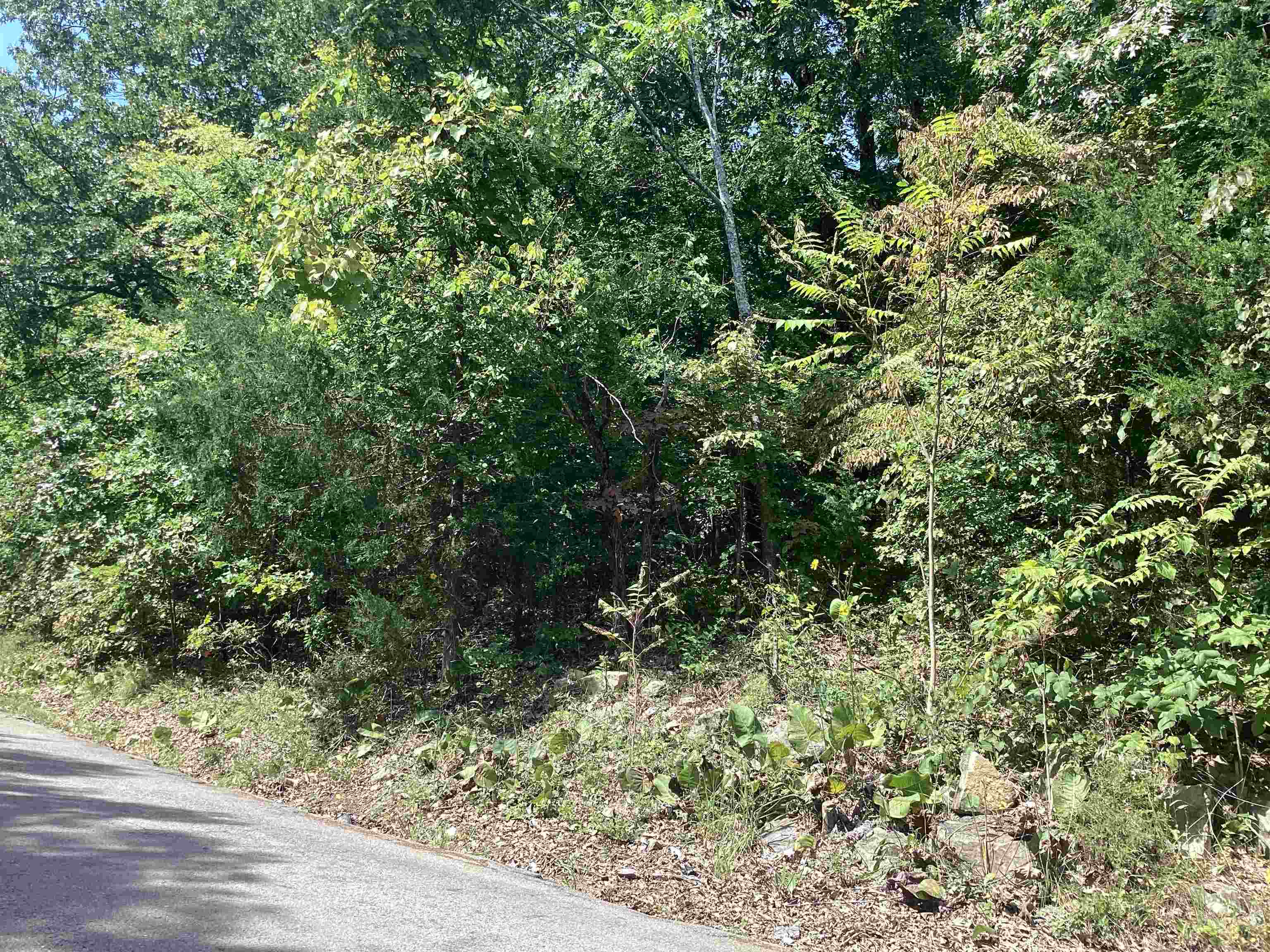   Frontier Dr  Ozark Acres, AR