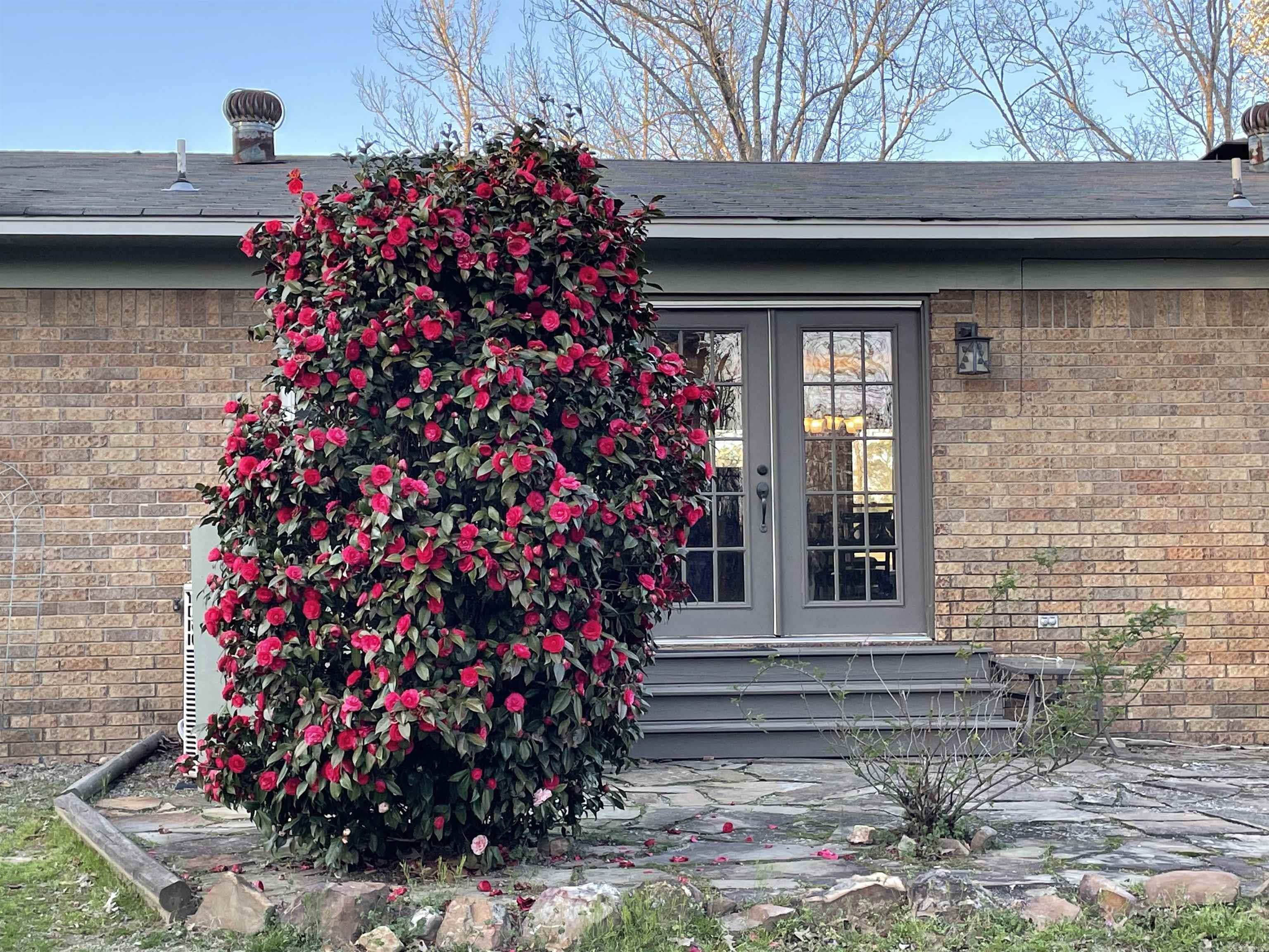 800  Horseshoe  Arkadelphia, AR