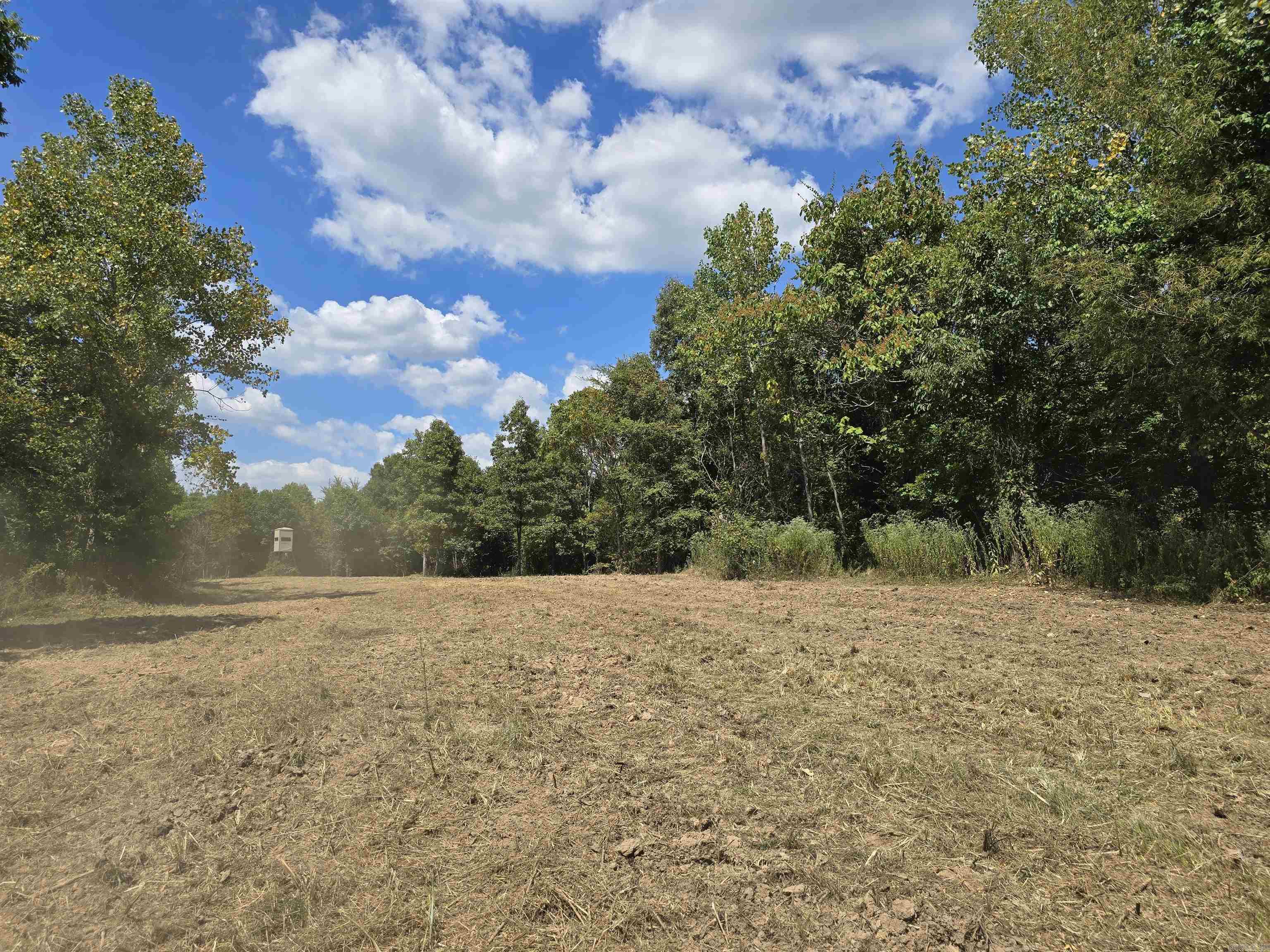 1001  Flecther  Forest Hill, AR