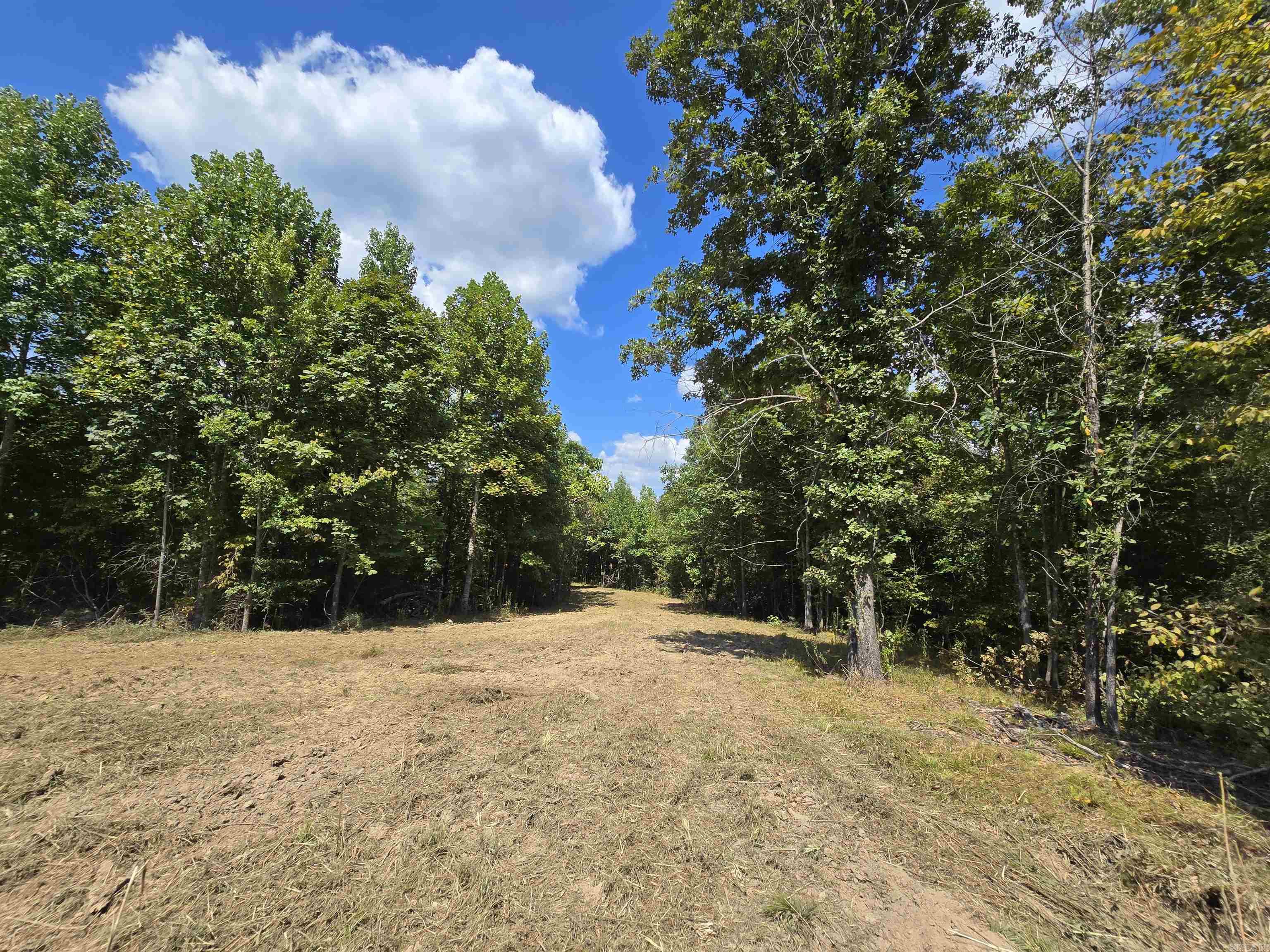 1001  Flecther  Forest Hill, AR