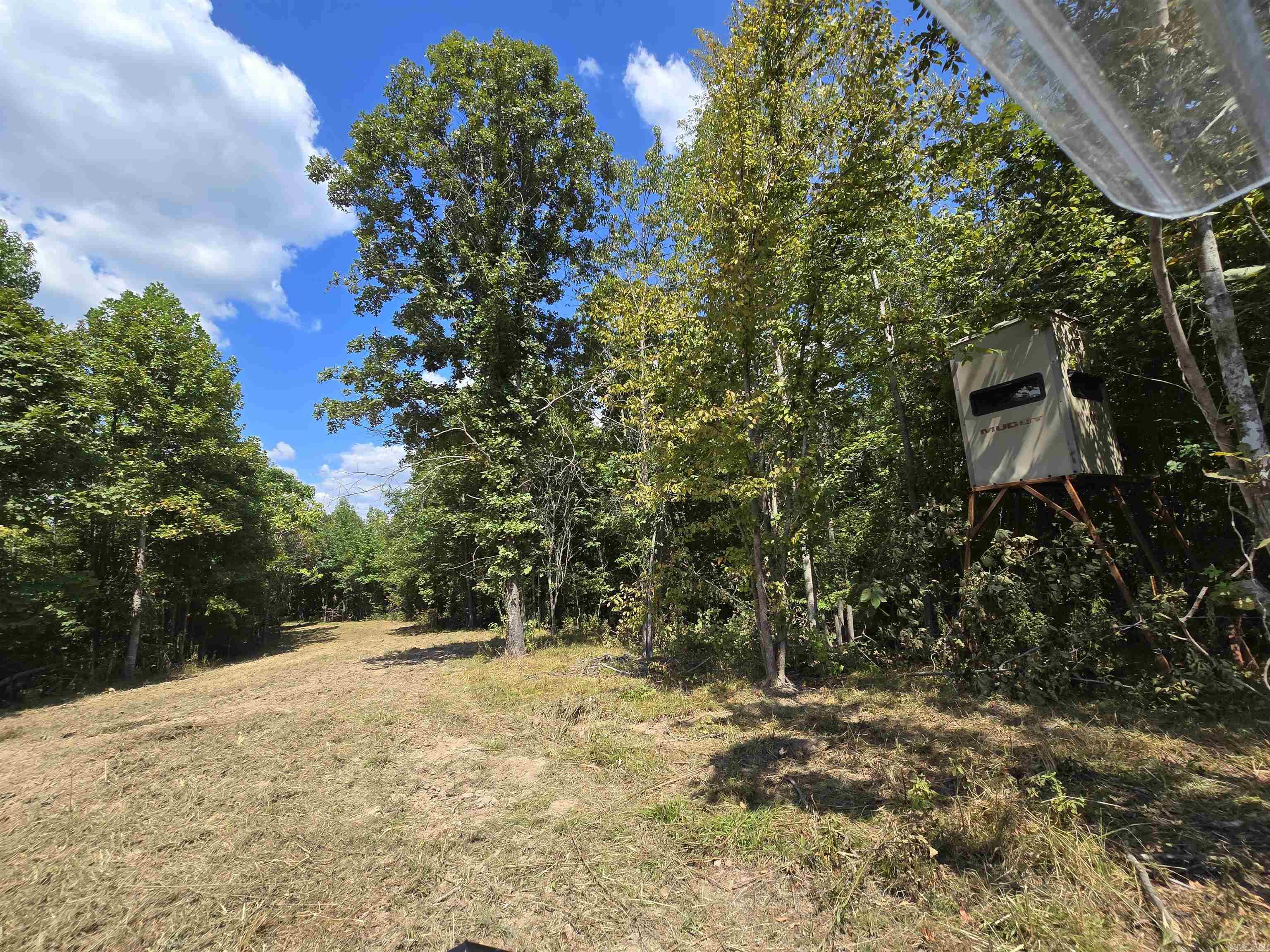 1001  Flecther  Forest Hill, AR
