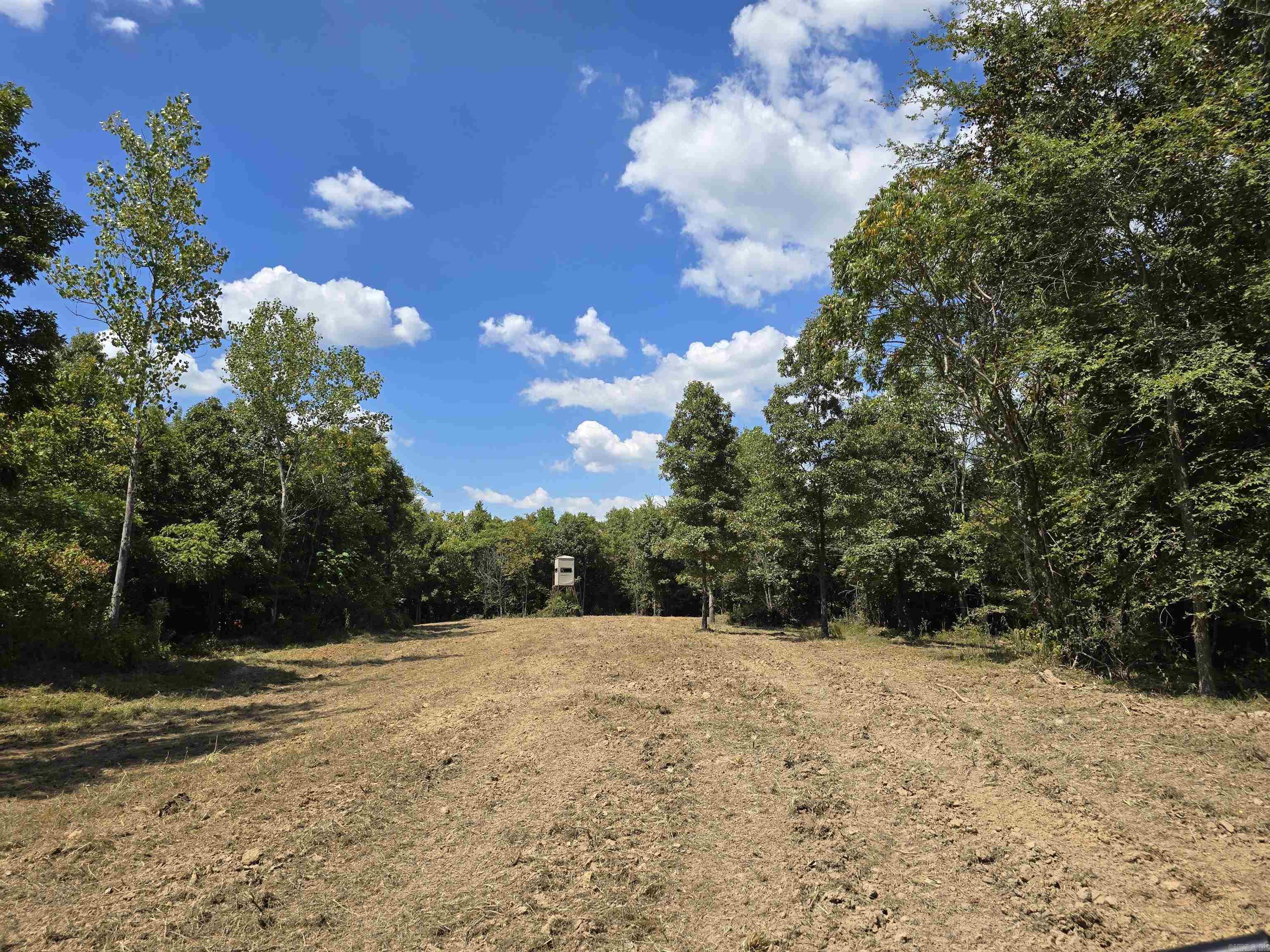 1001  Flecther  Forest Hill, AR