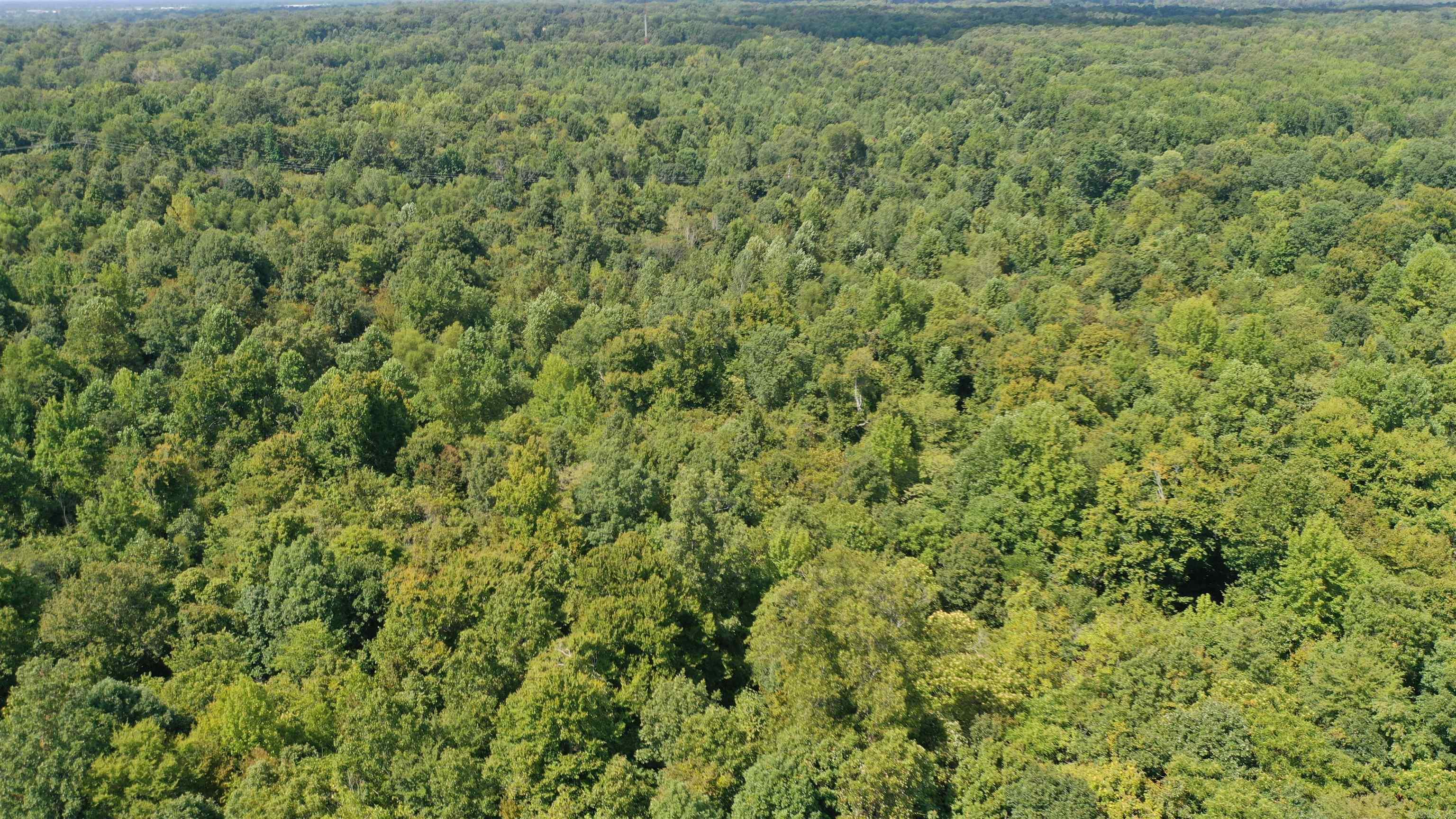 1001  Flecther  Forest Hill, AR