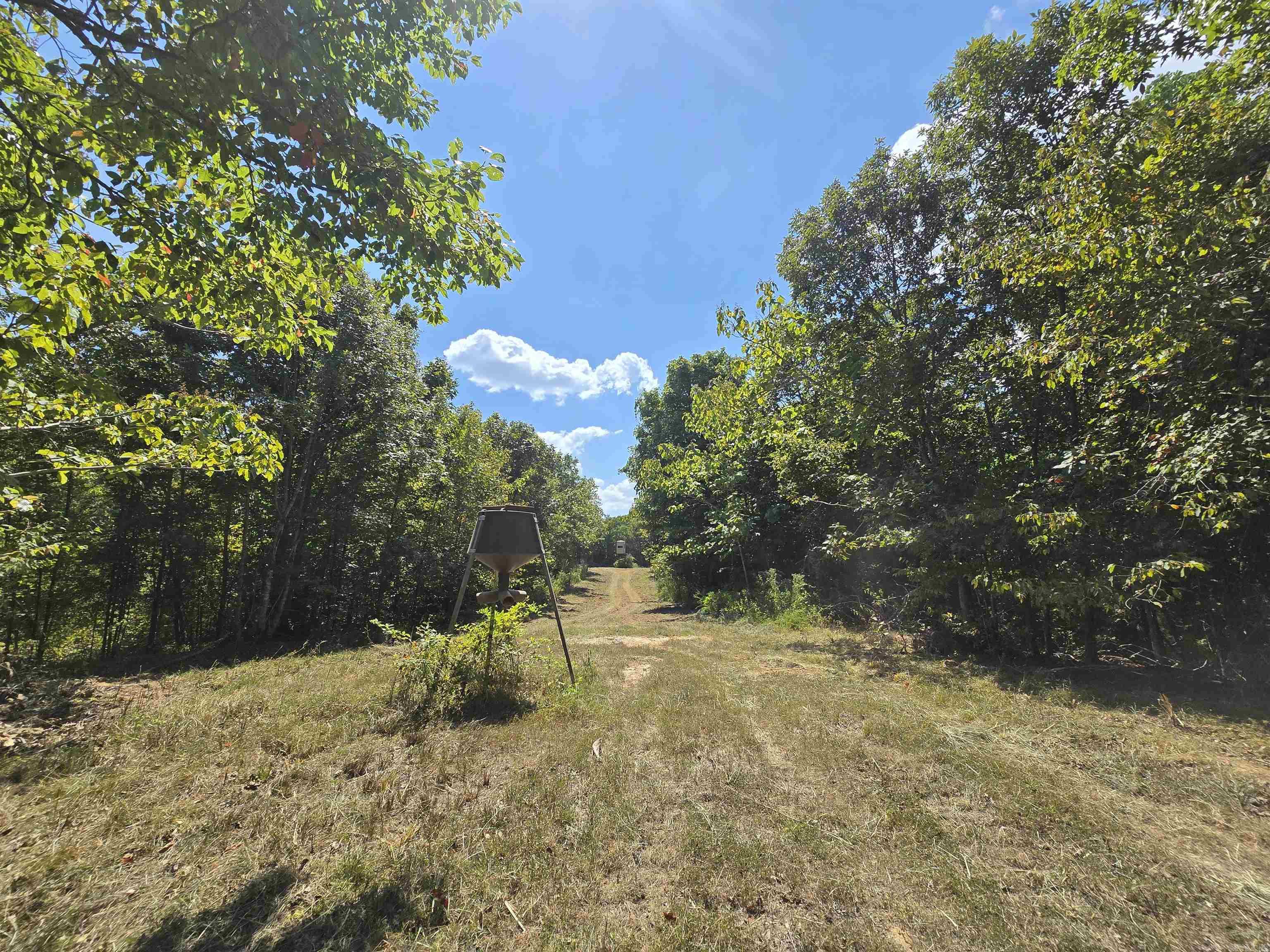 1001  Flecther  Forest Hill, AR