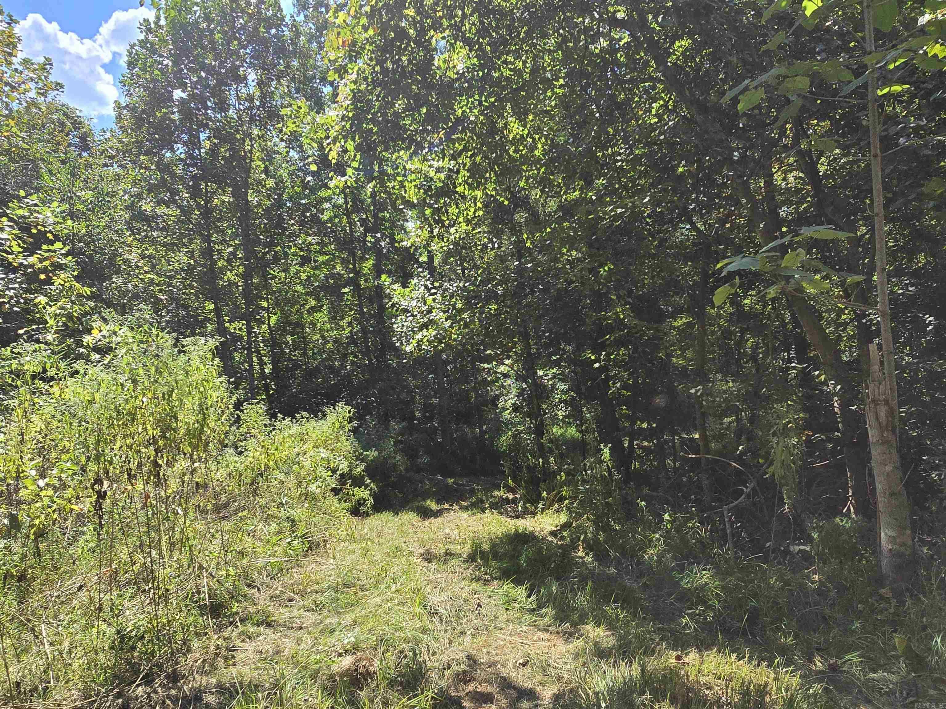 1001  Flecther  Forest Hill, AR