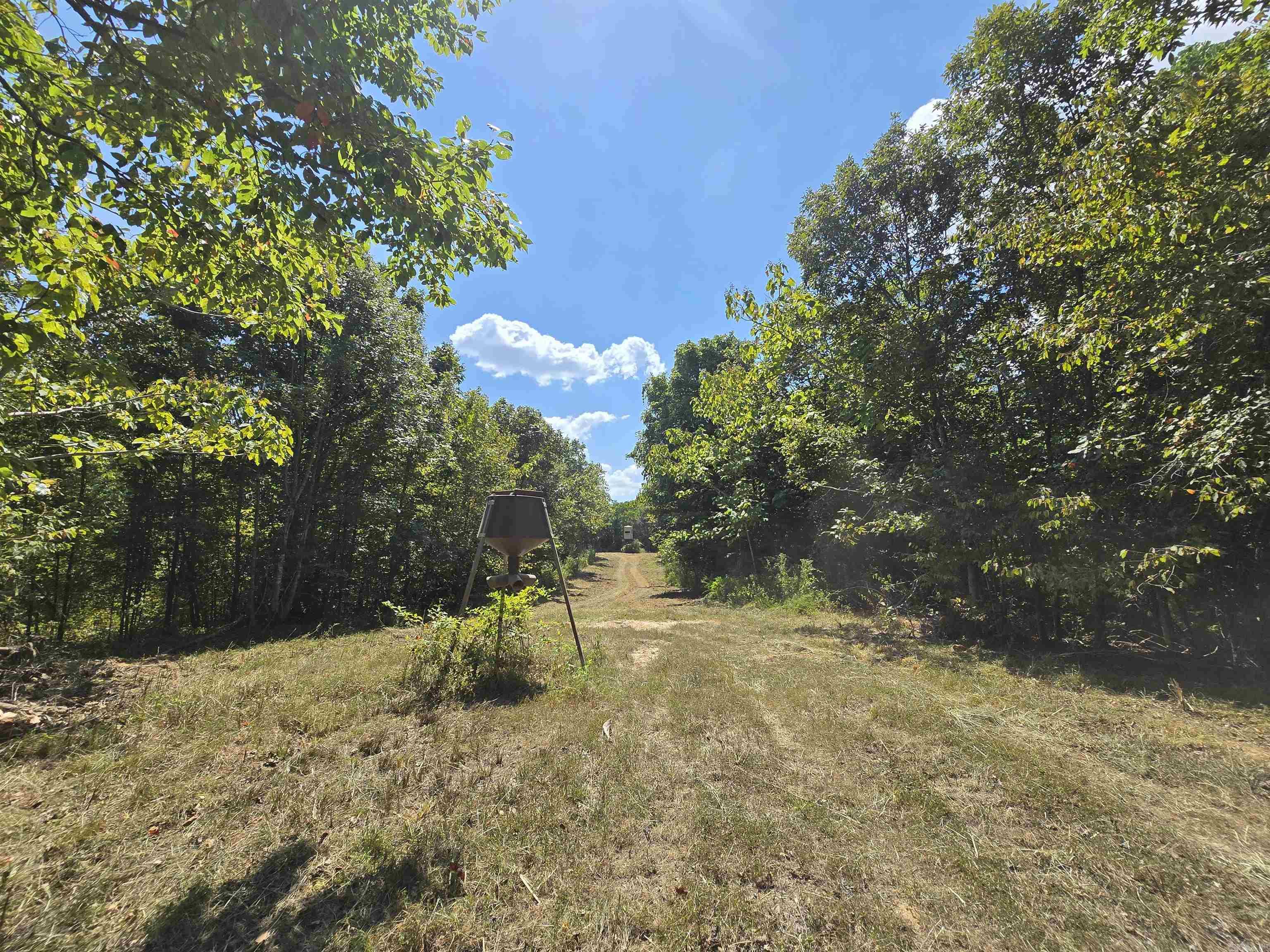 1001  Flecther  Forest Hill, AR