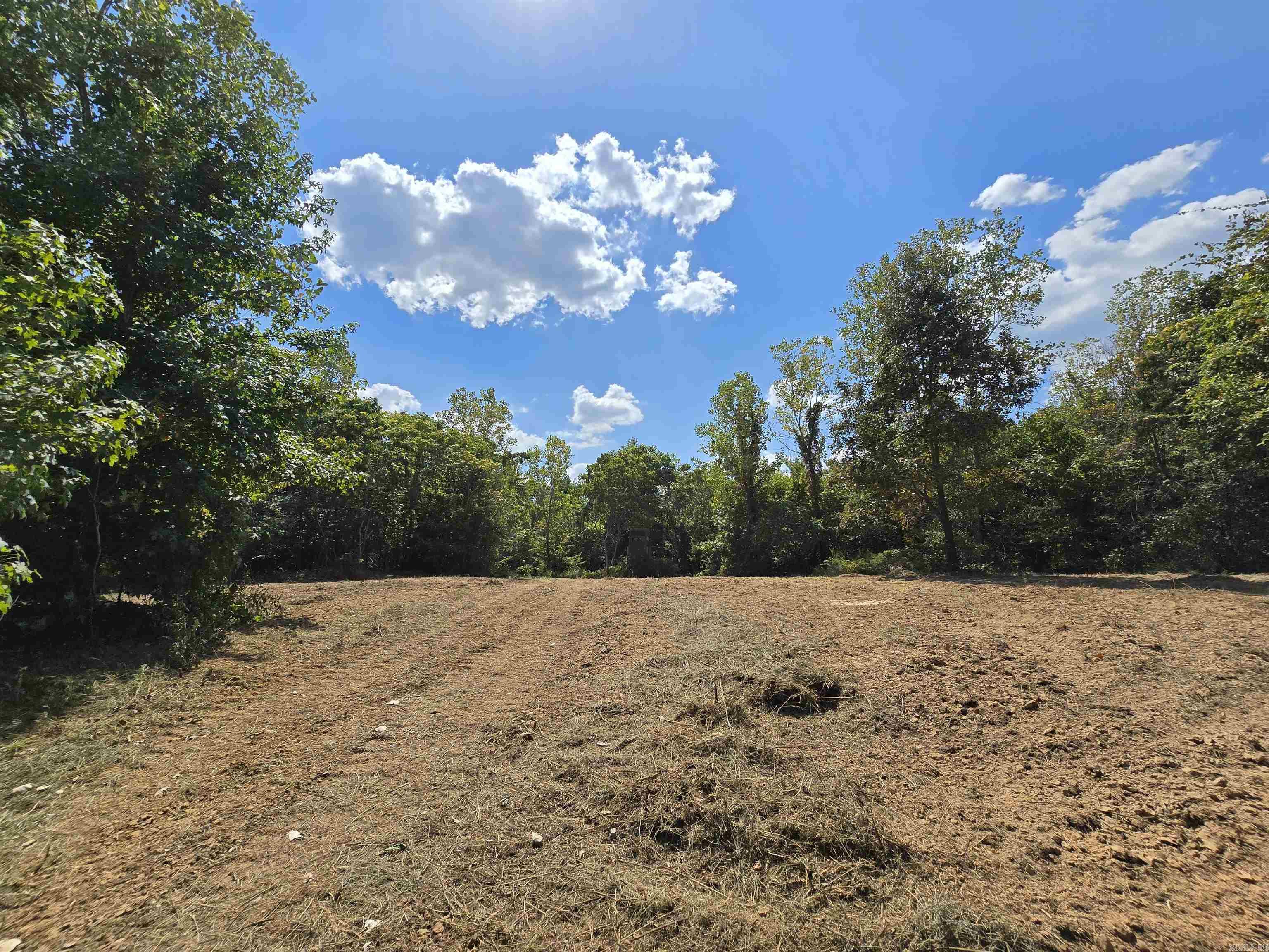 1001  Flecther  Forest Hill, AR