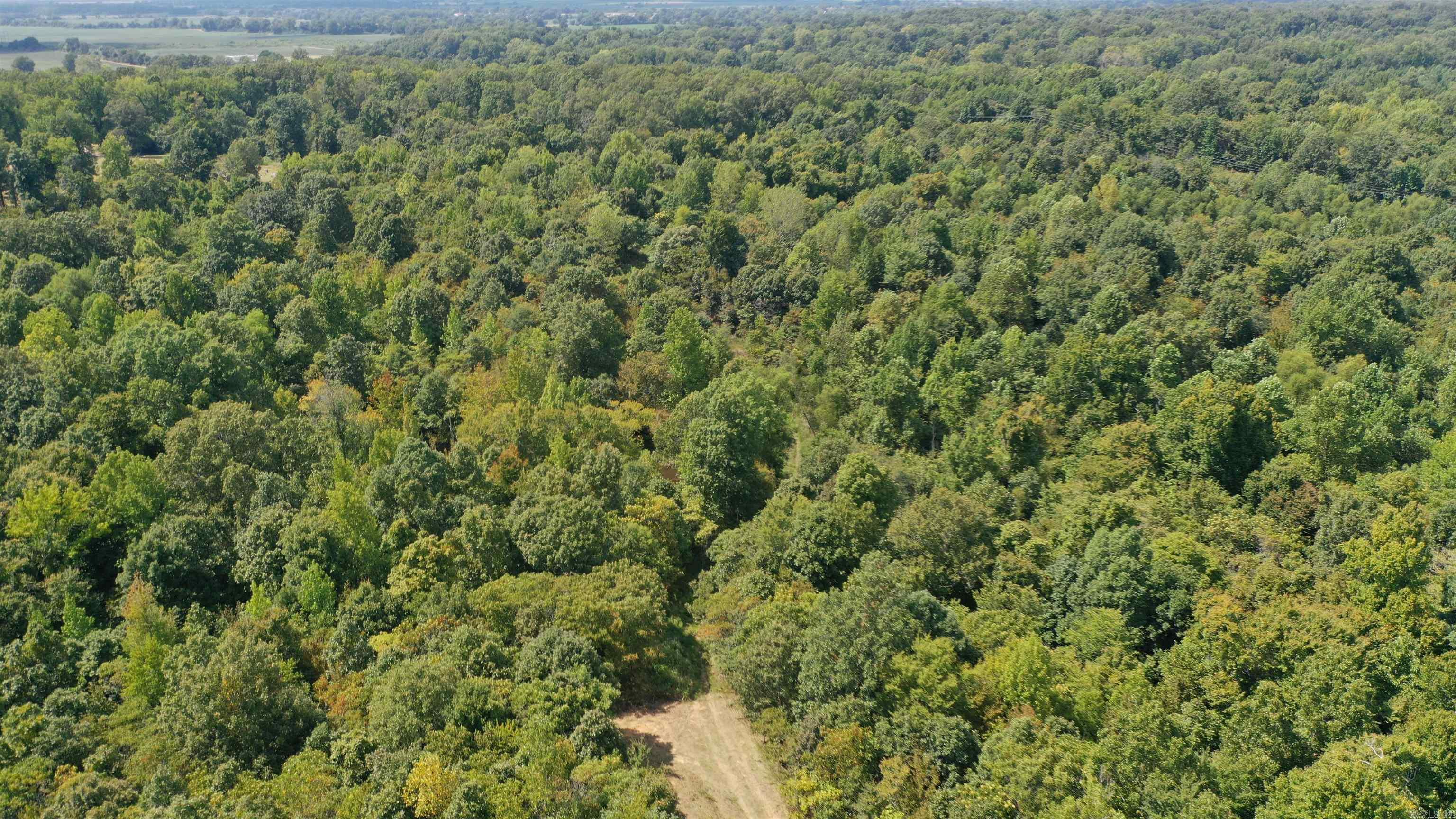 1001  Flecther  Forest Hill, AR