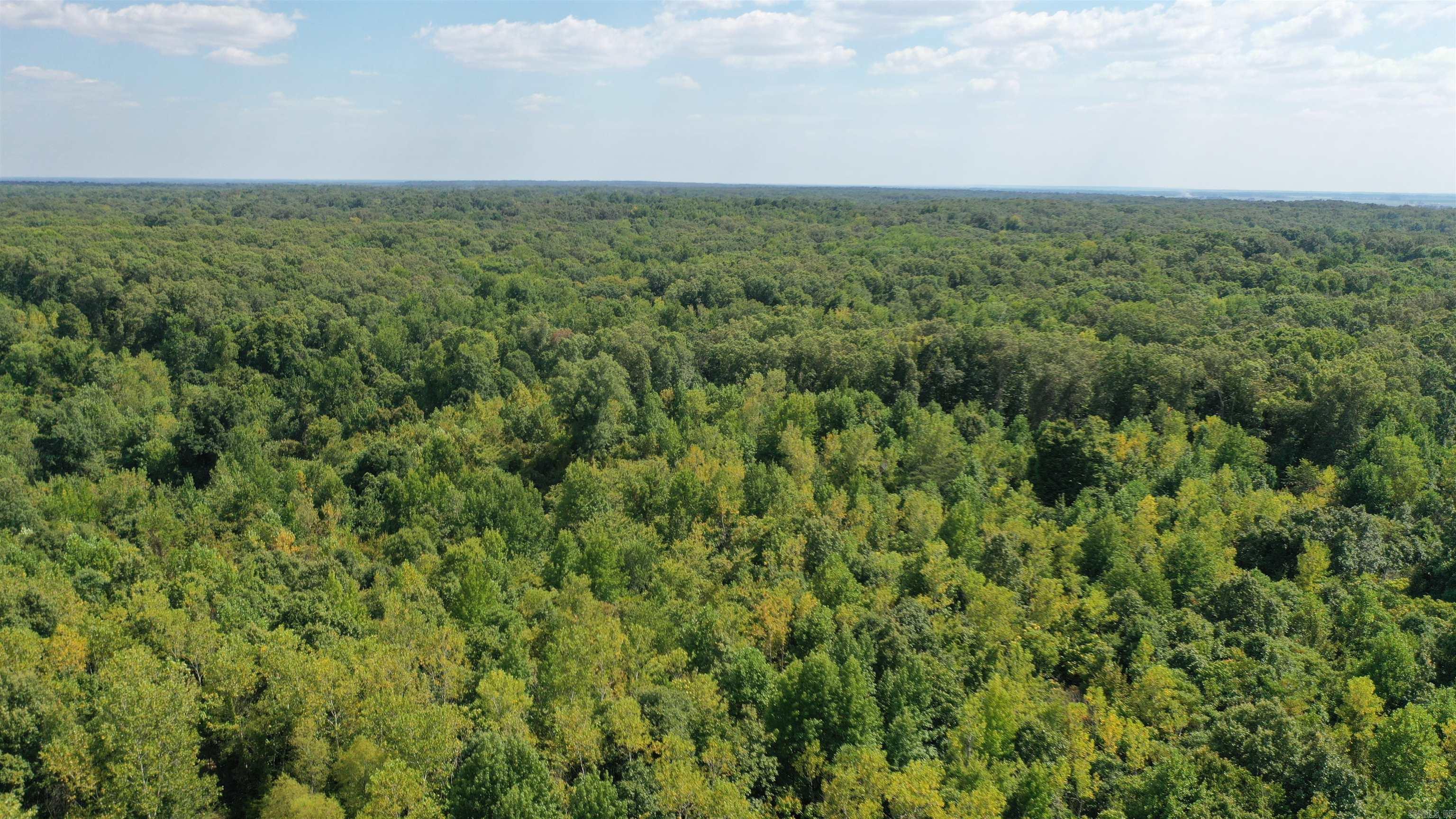 1001  Flecther  Forest Hill, AR