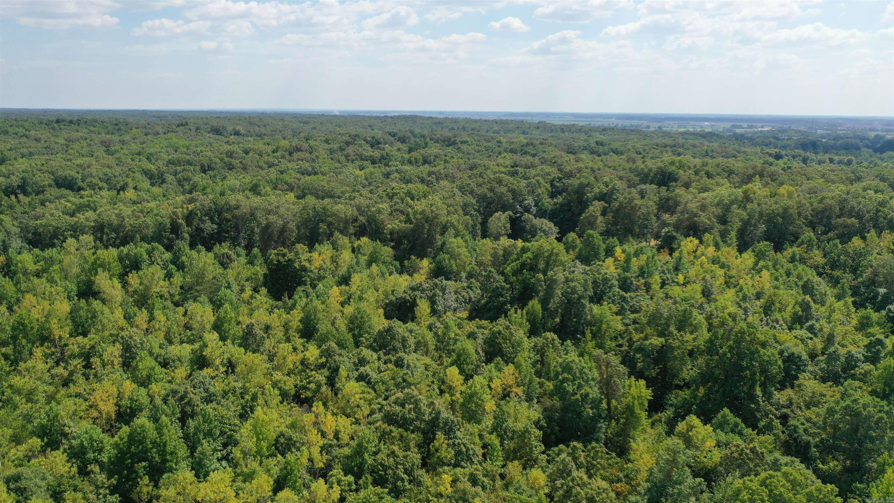 1001  Flecther  Forest Hill, AR