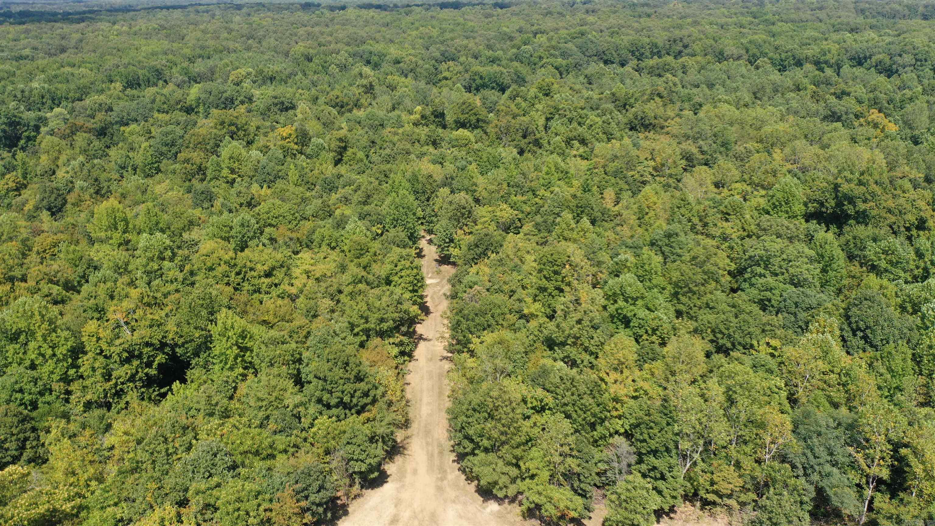 1001  Flecther  Forest Hill, AR