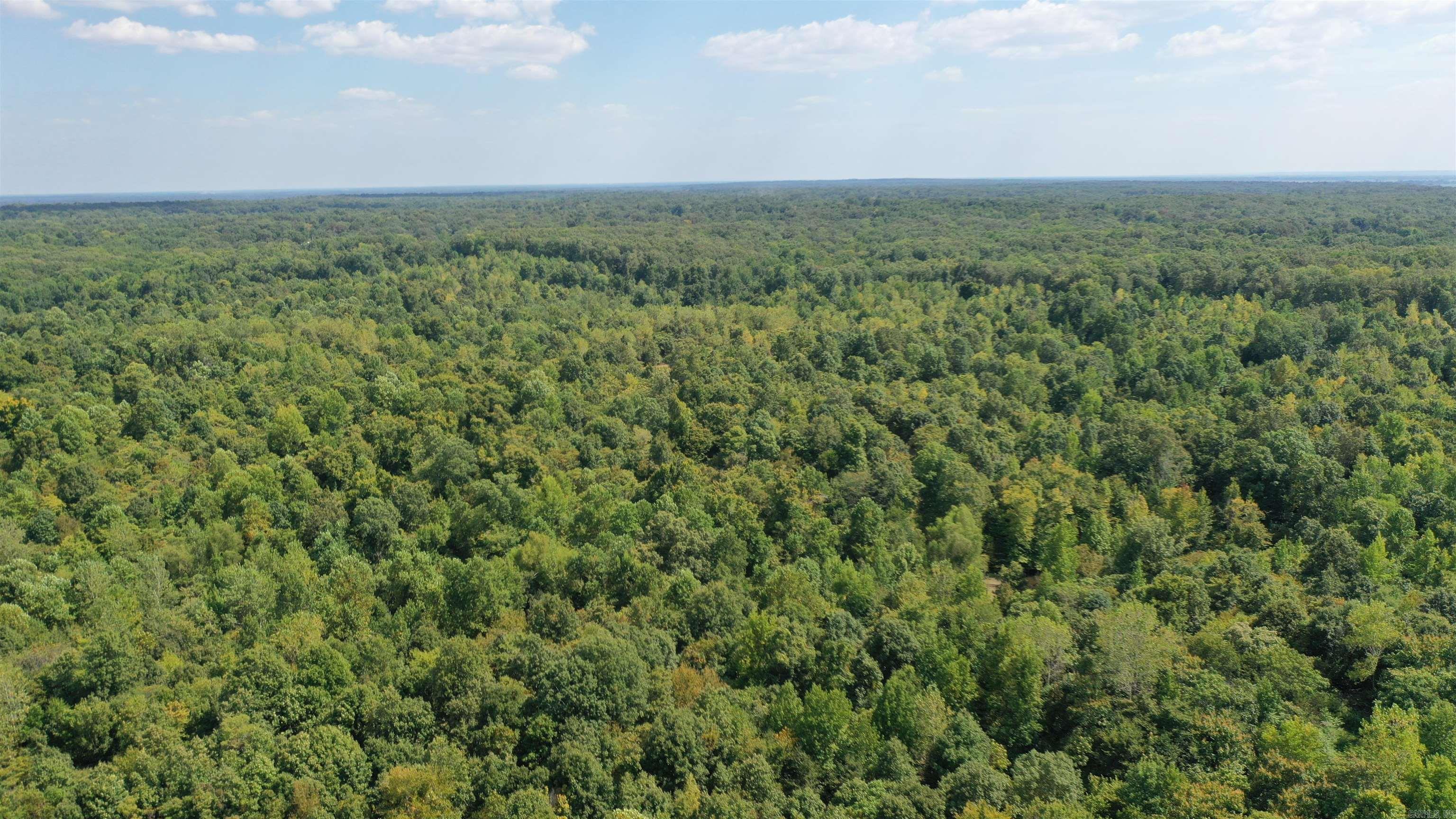 1001  Flecther  Forest Hill, AR