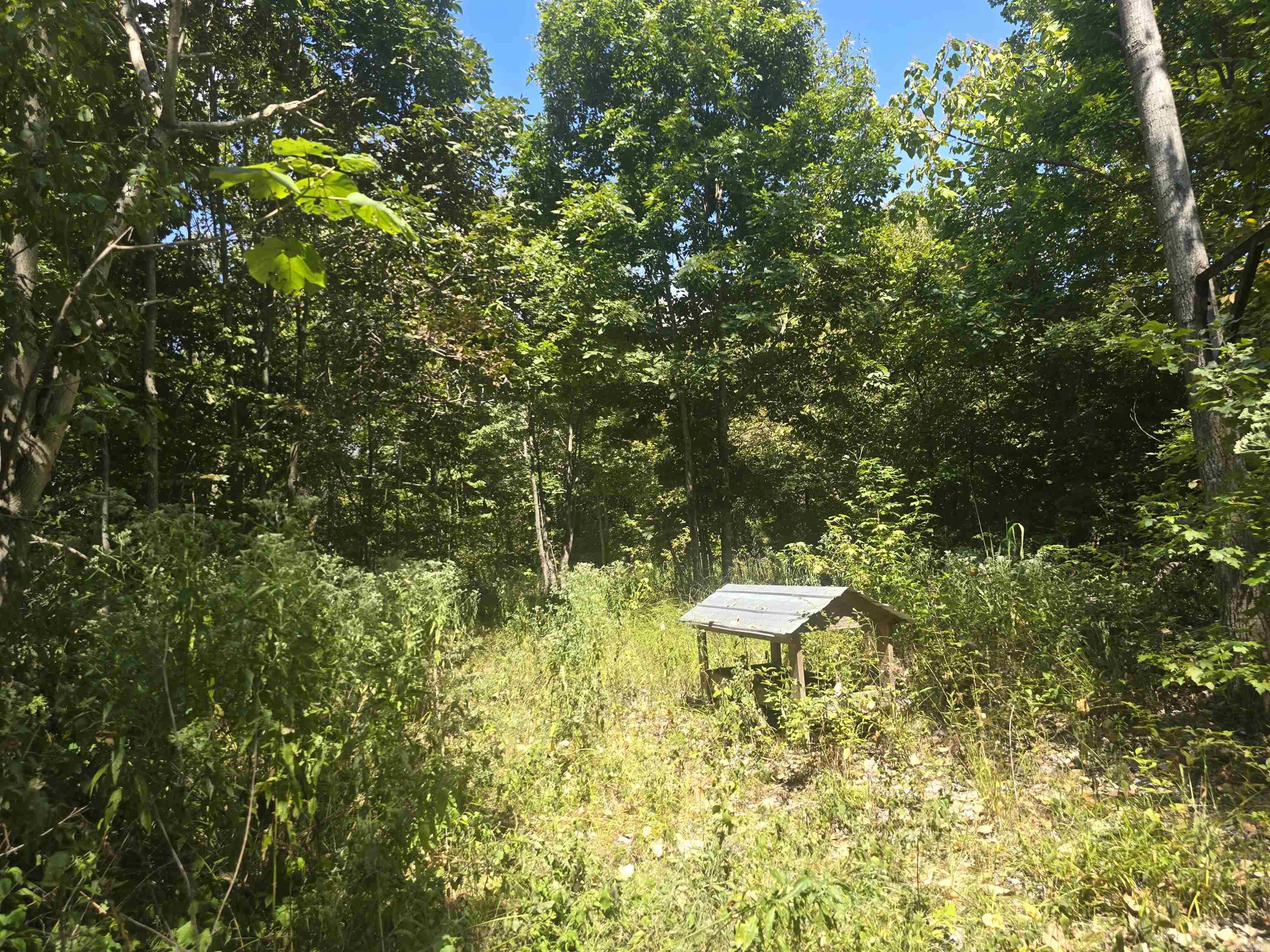 1001  Flecther  Forest Hill, AR