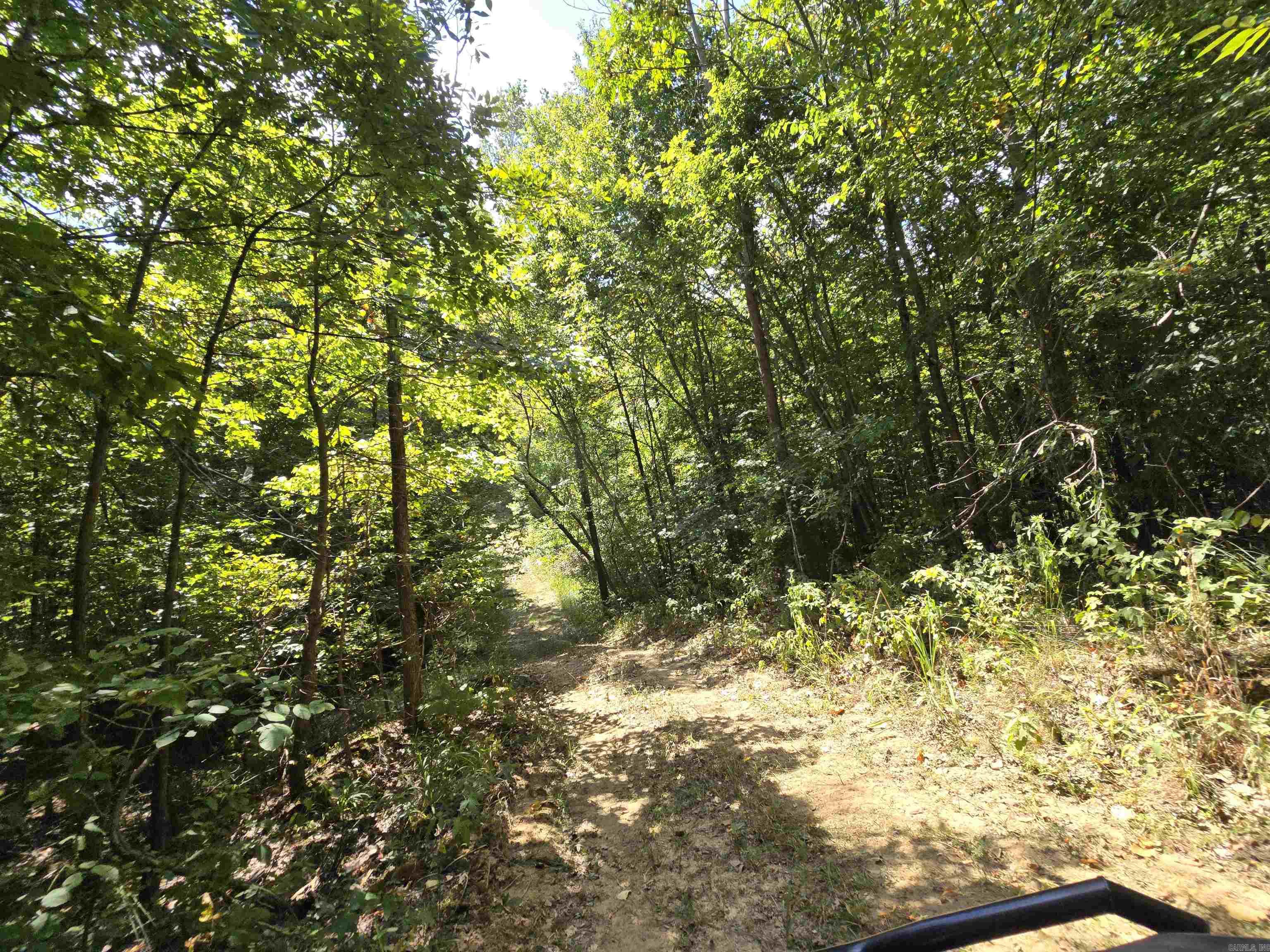 1001  Flecther  Forest Hill, AR