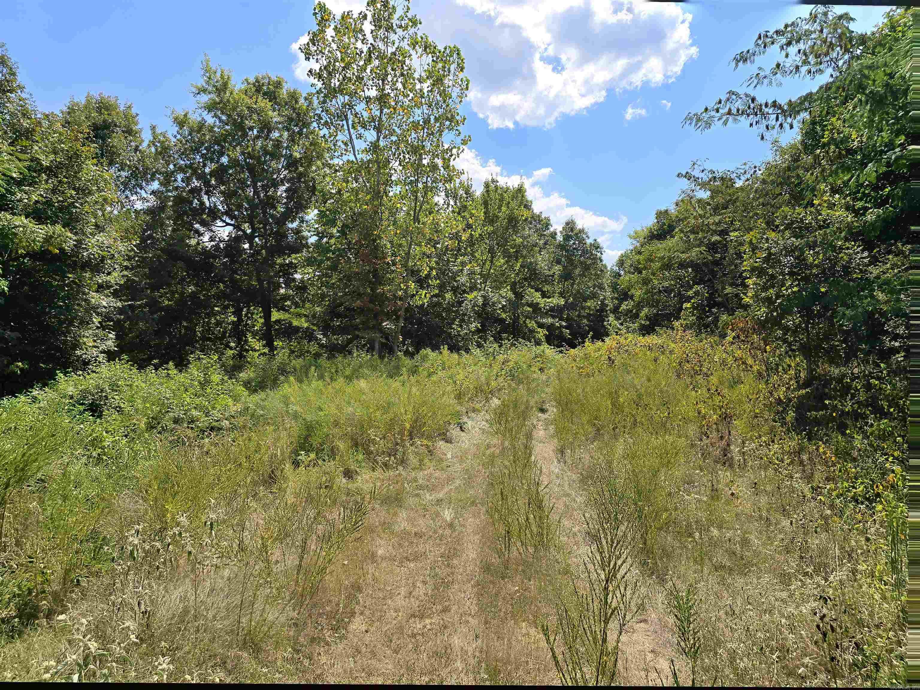 1001  Flecther  Forest Hill, AR