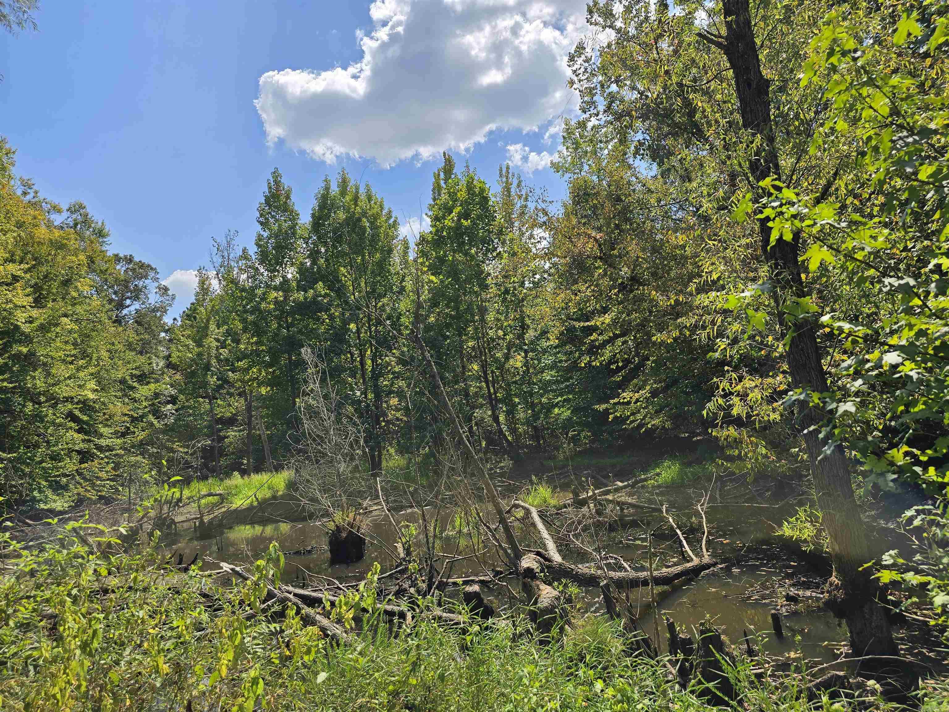 1001  Flecther  Forest Hill, AR