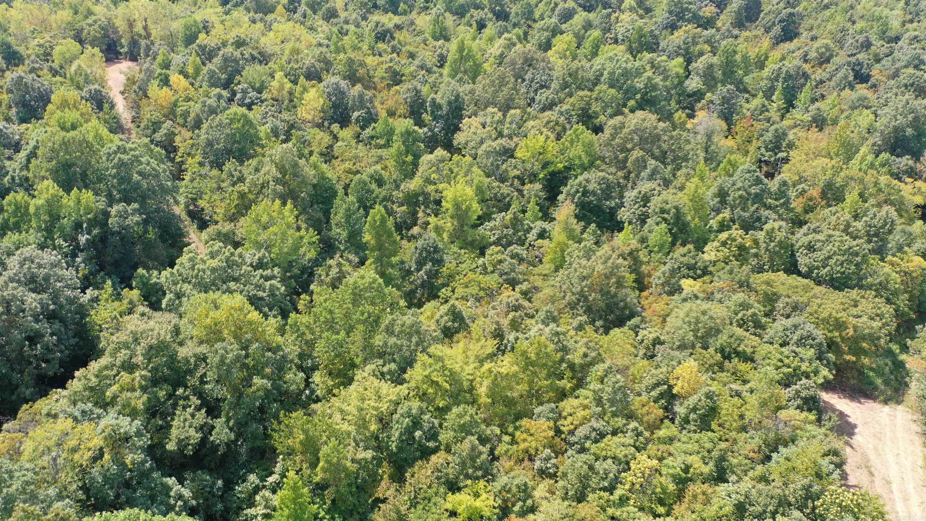 1001  Flecther  Forest Hill, AR