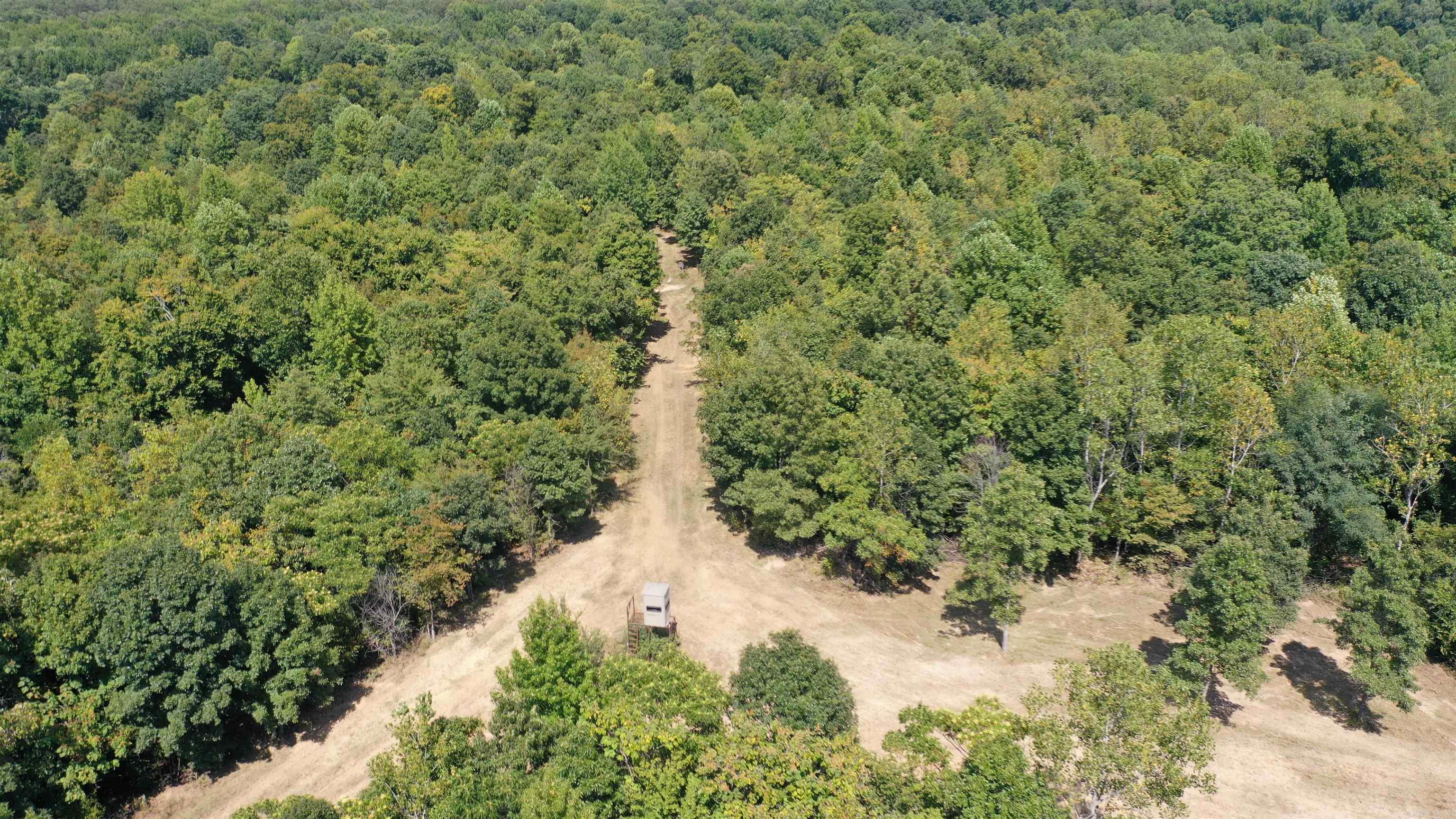 1001  Flecther  Forest Hill, AR