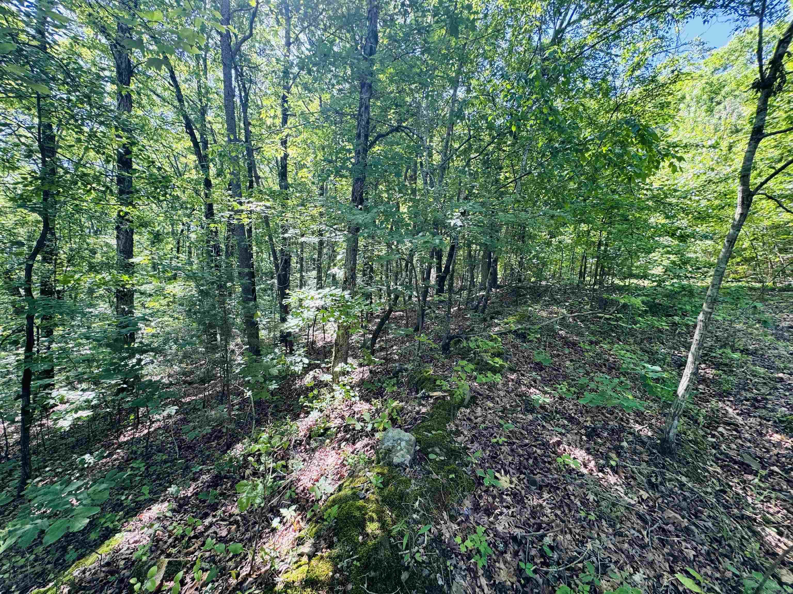 LOT 24  COX DRIVE  Quitman, AR