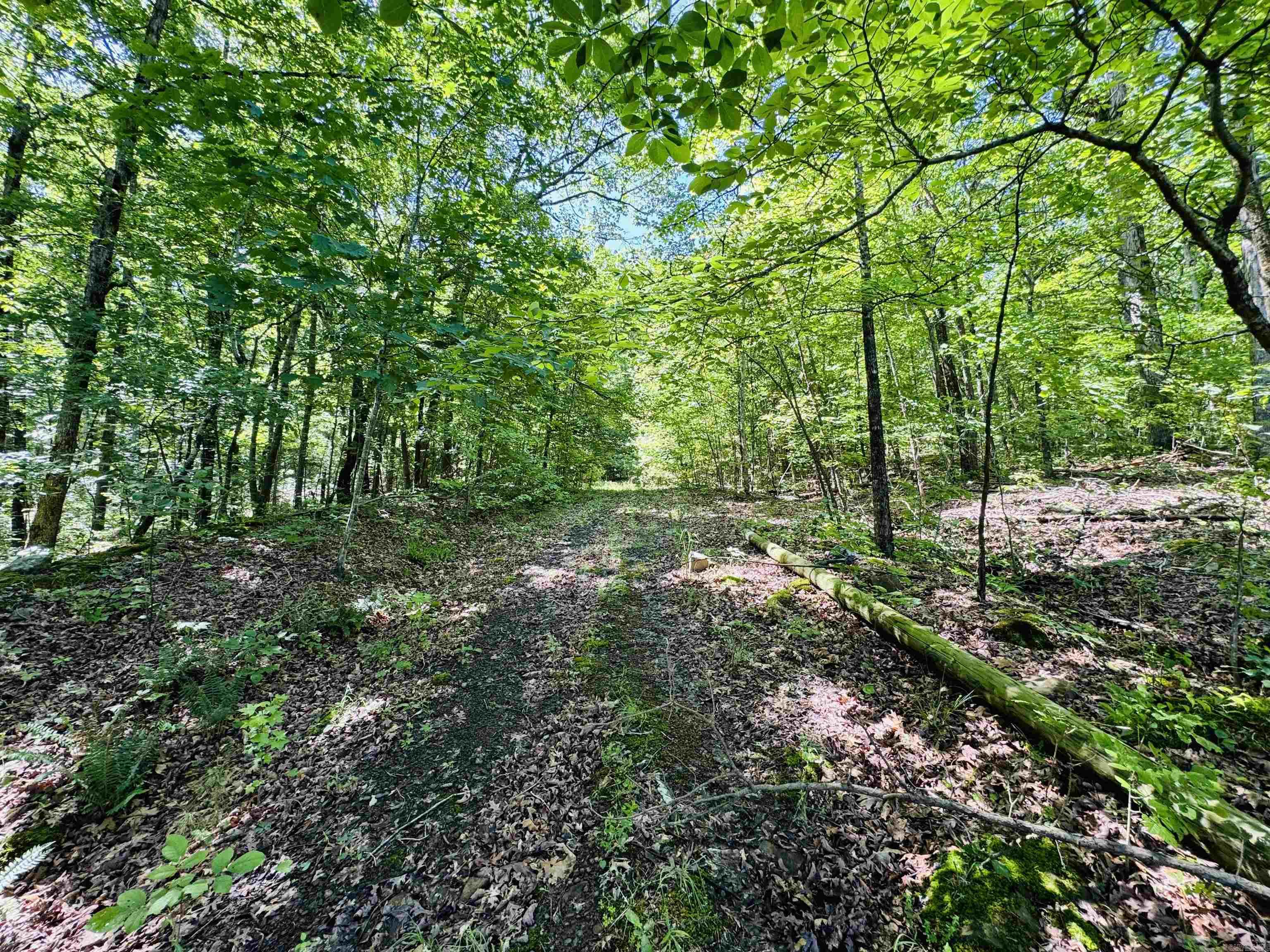 LOT 24  COX DRIVE  Quitman, AR